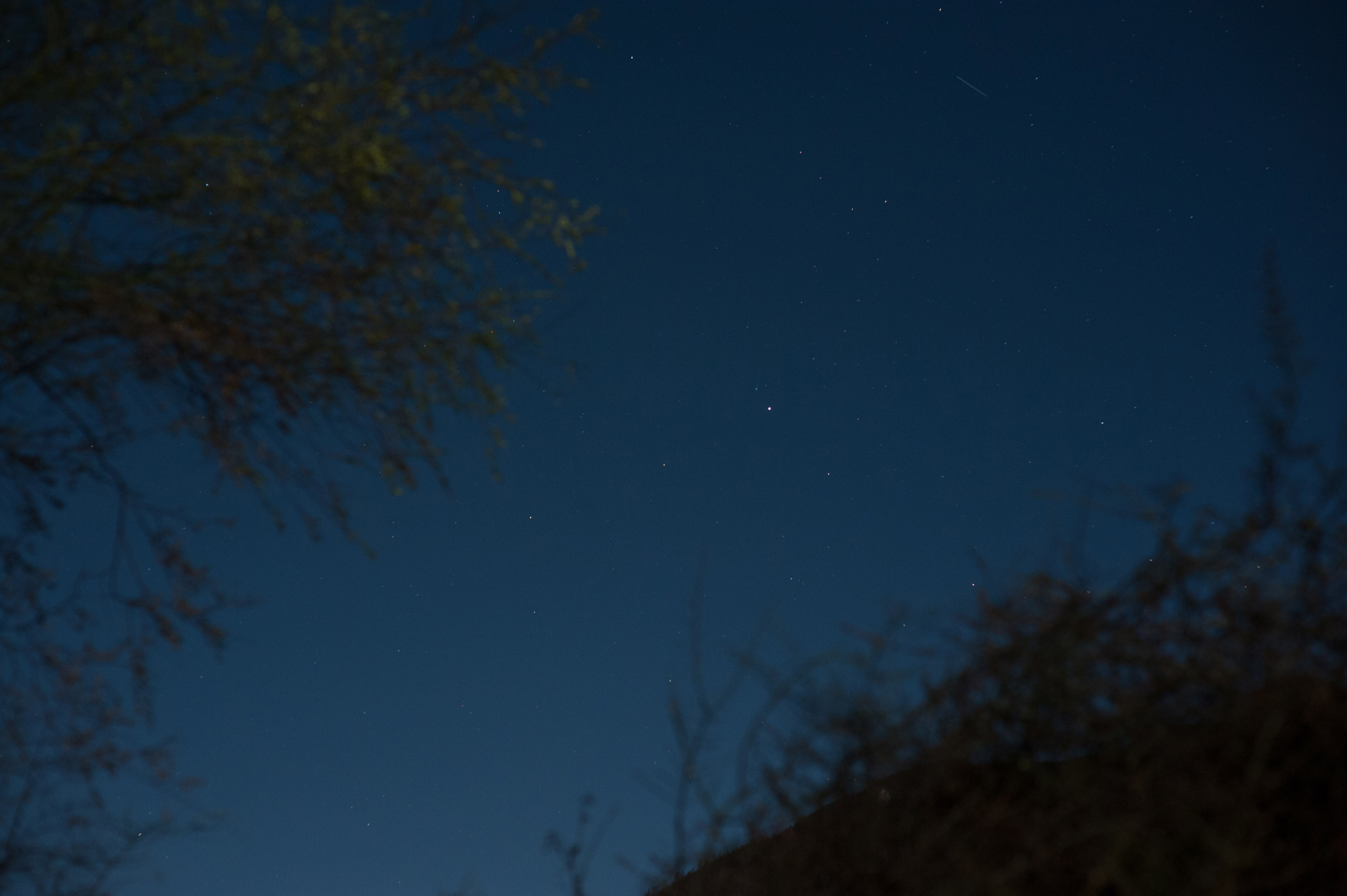 ISON彗星 D700 85 1.4D F5.6.jpg