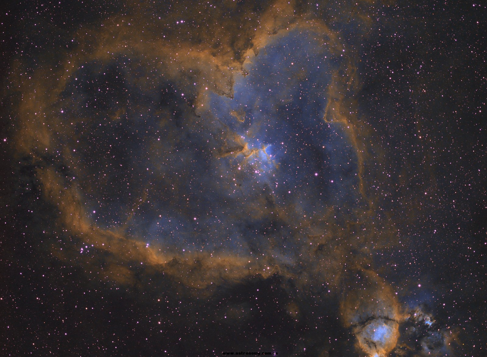 IC1805 SHO 50%.jpg