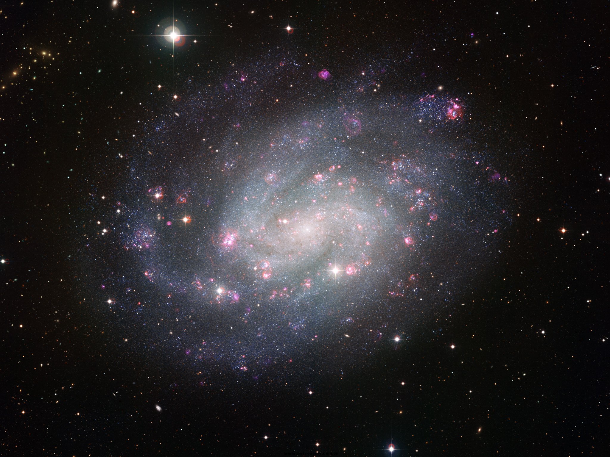 NGC300