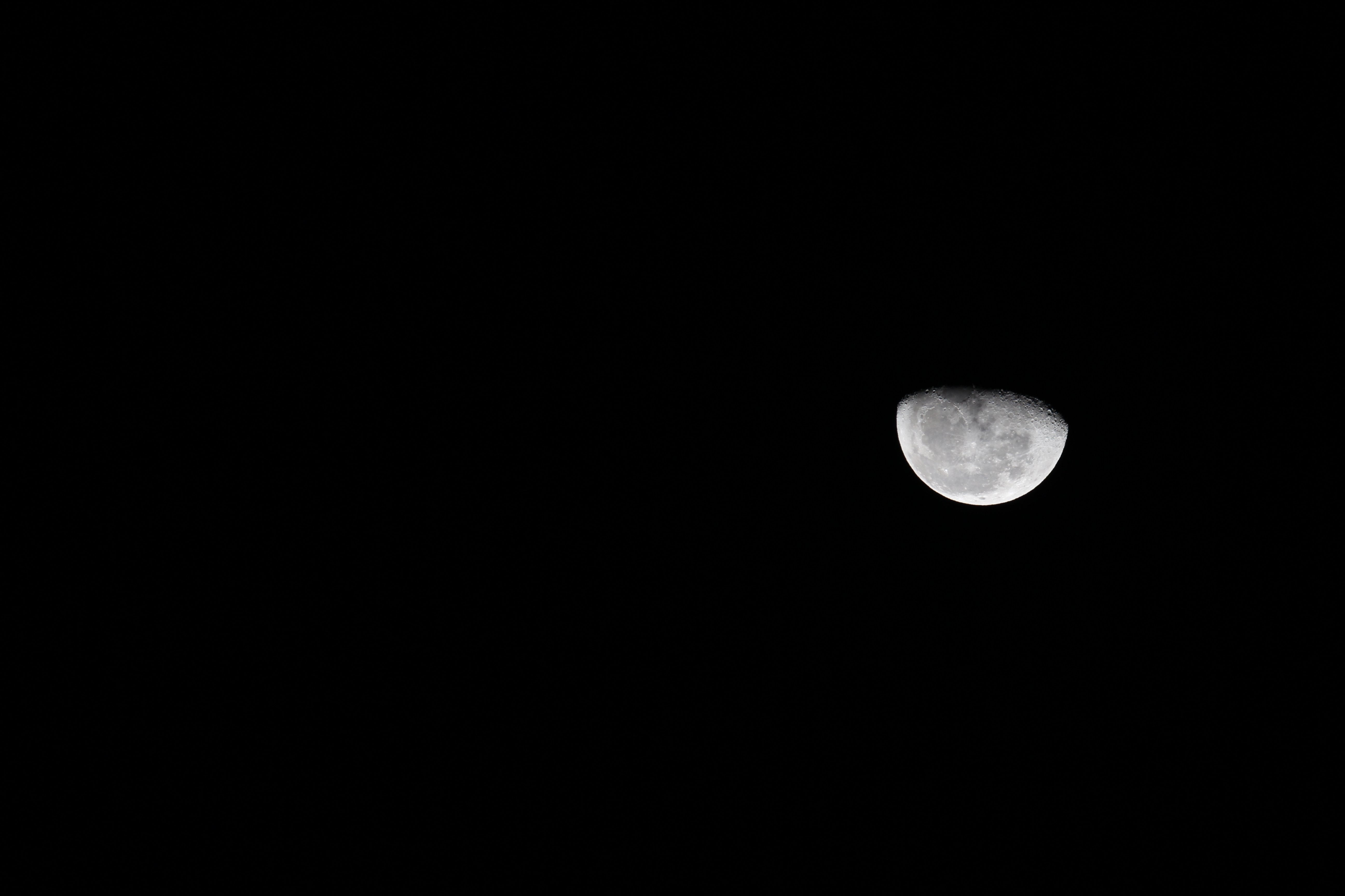 IMG_1311.JPG