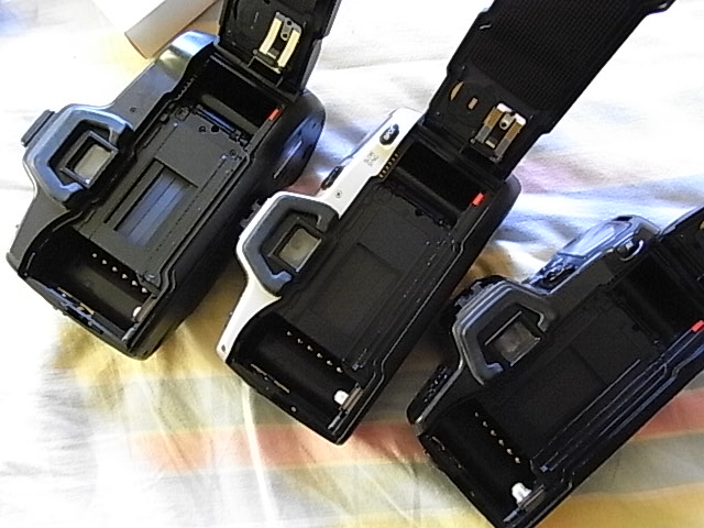 RIMG9081.JPG