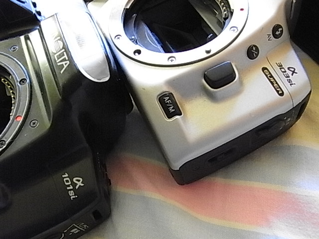 RIMG9078.JPG