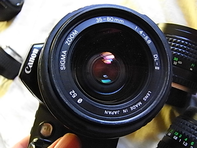 RIMG9067.JPG