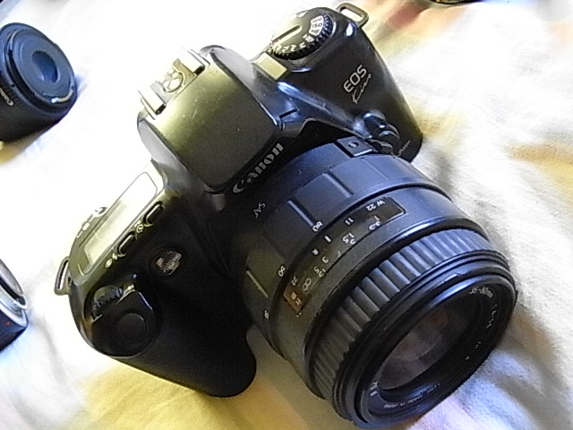 RIMG9068.JPG