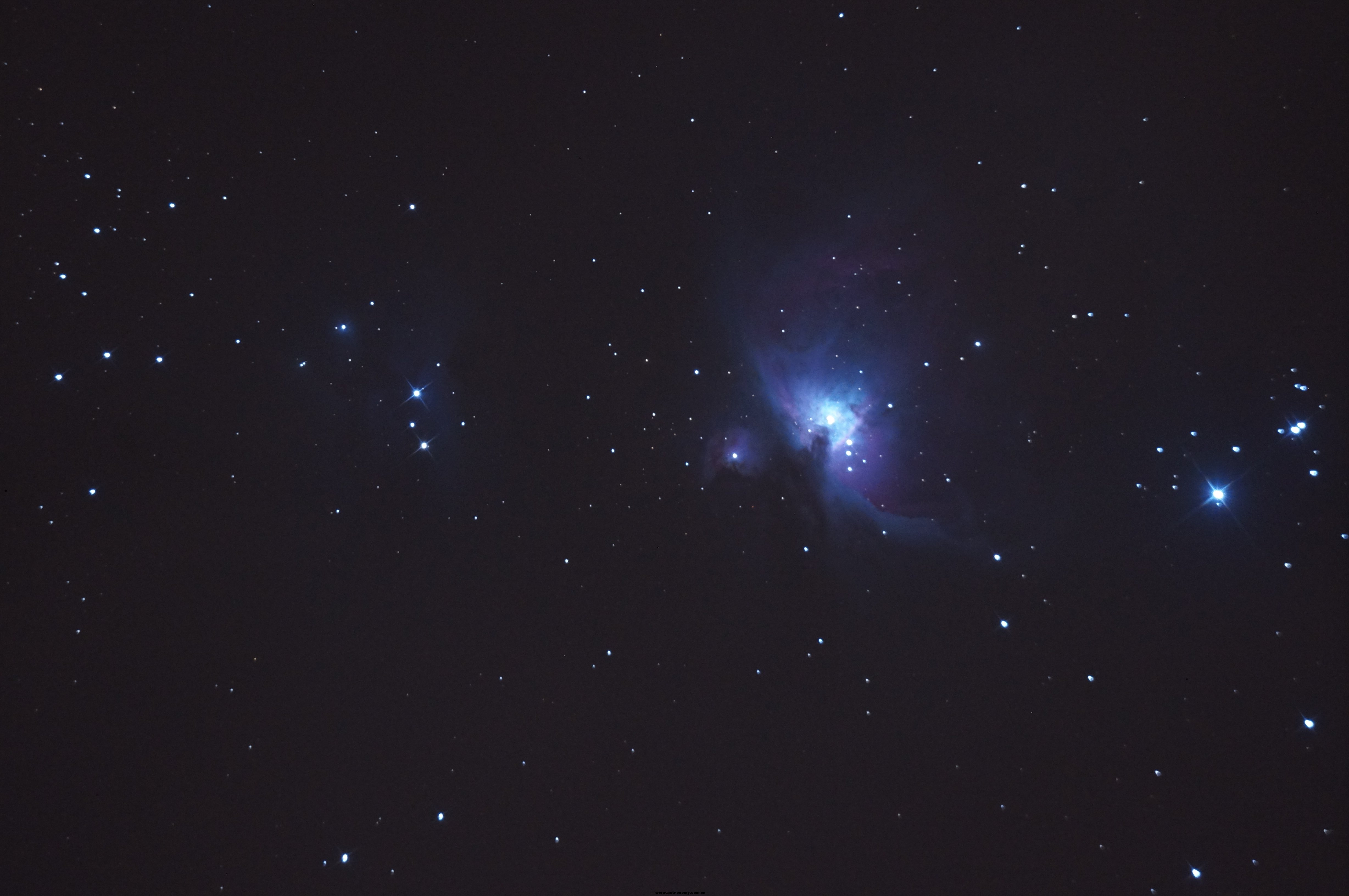 M42单张.JPG