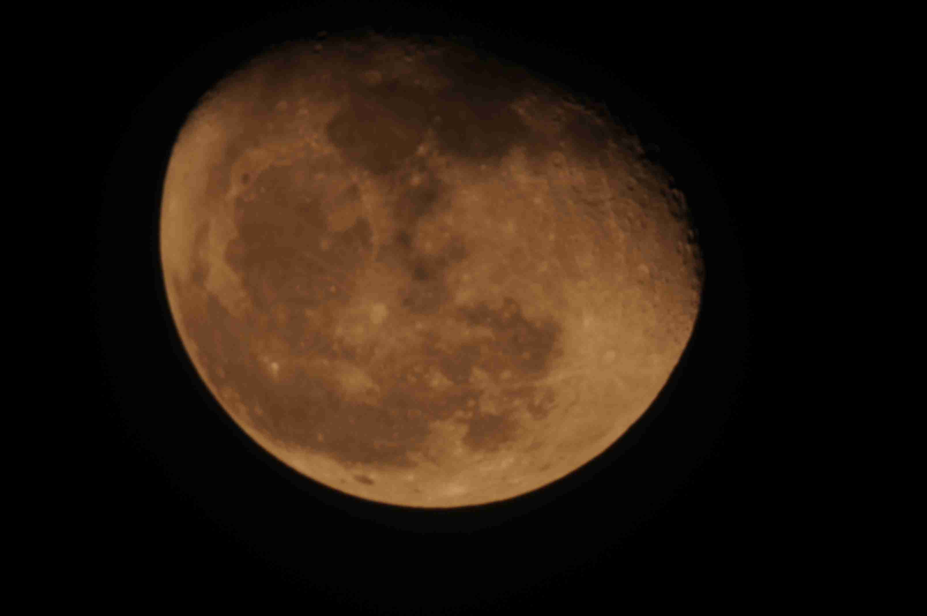 DSC_3443.JPG