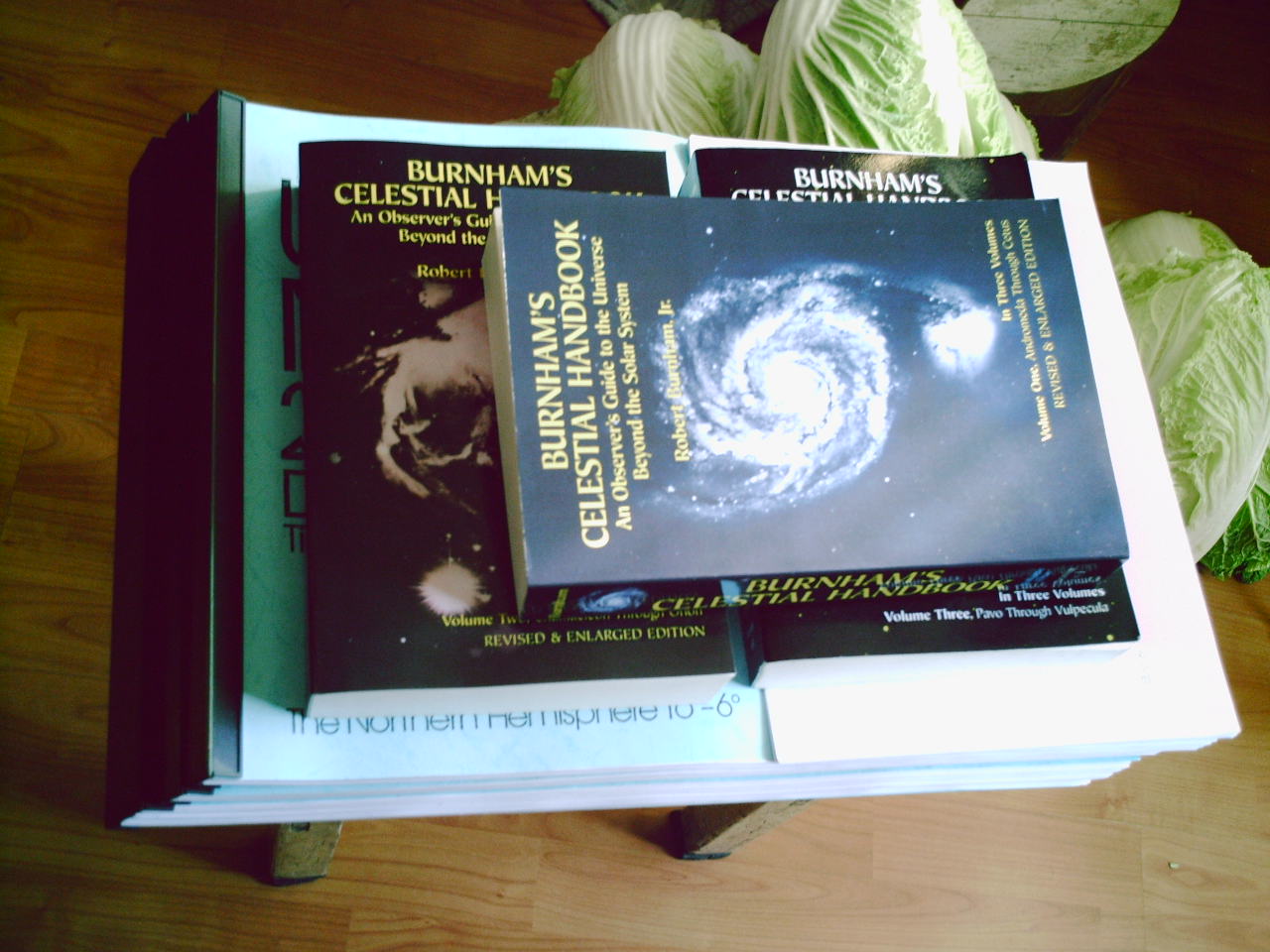 PIC01091.JPG