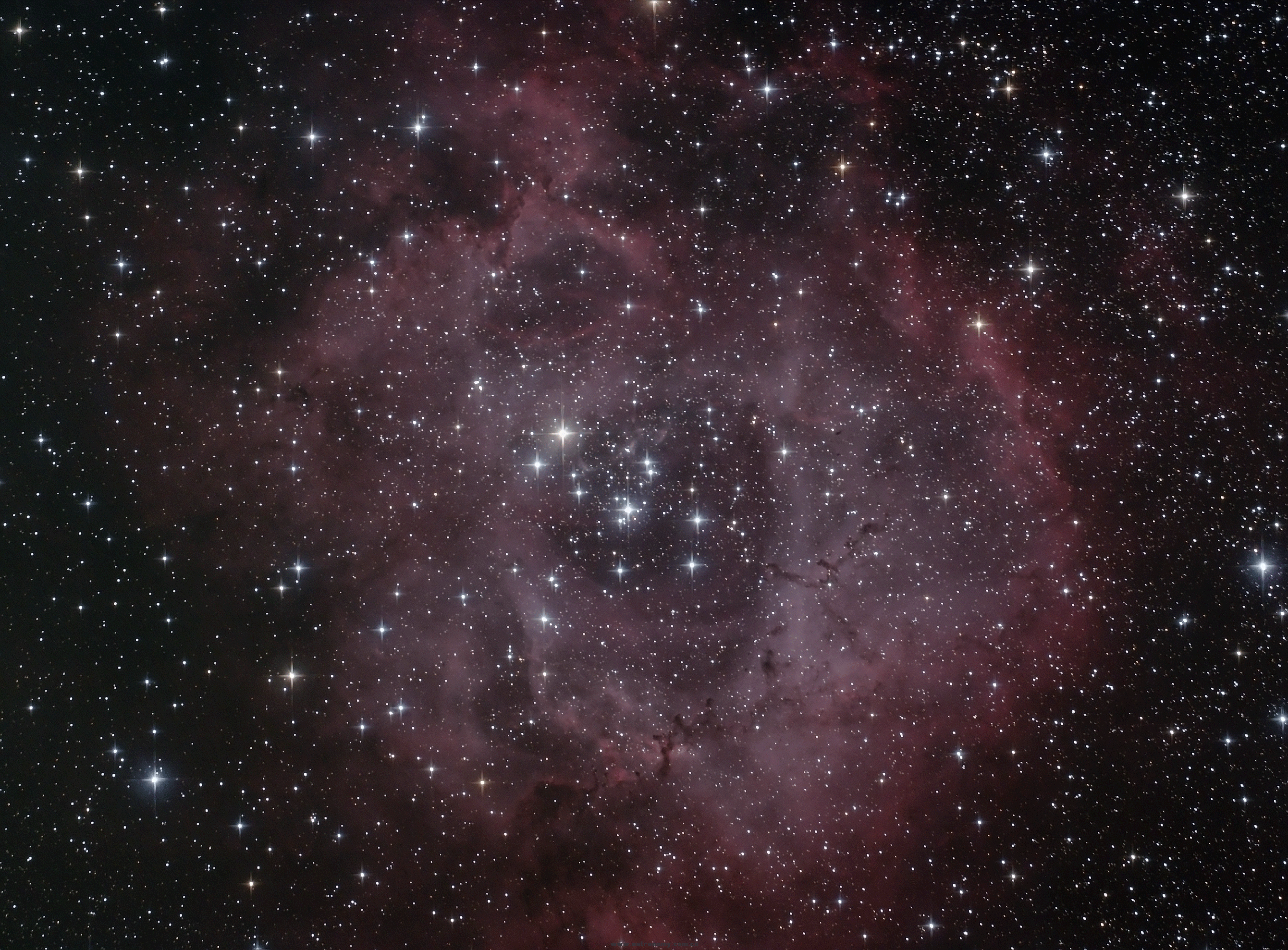 玫瑰星云