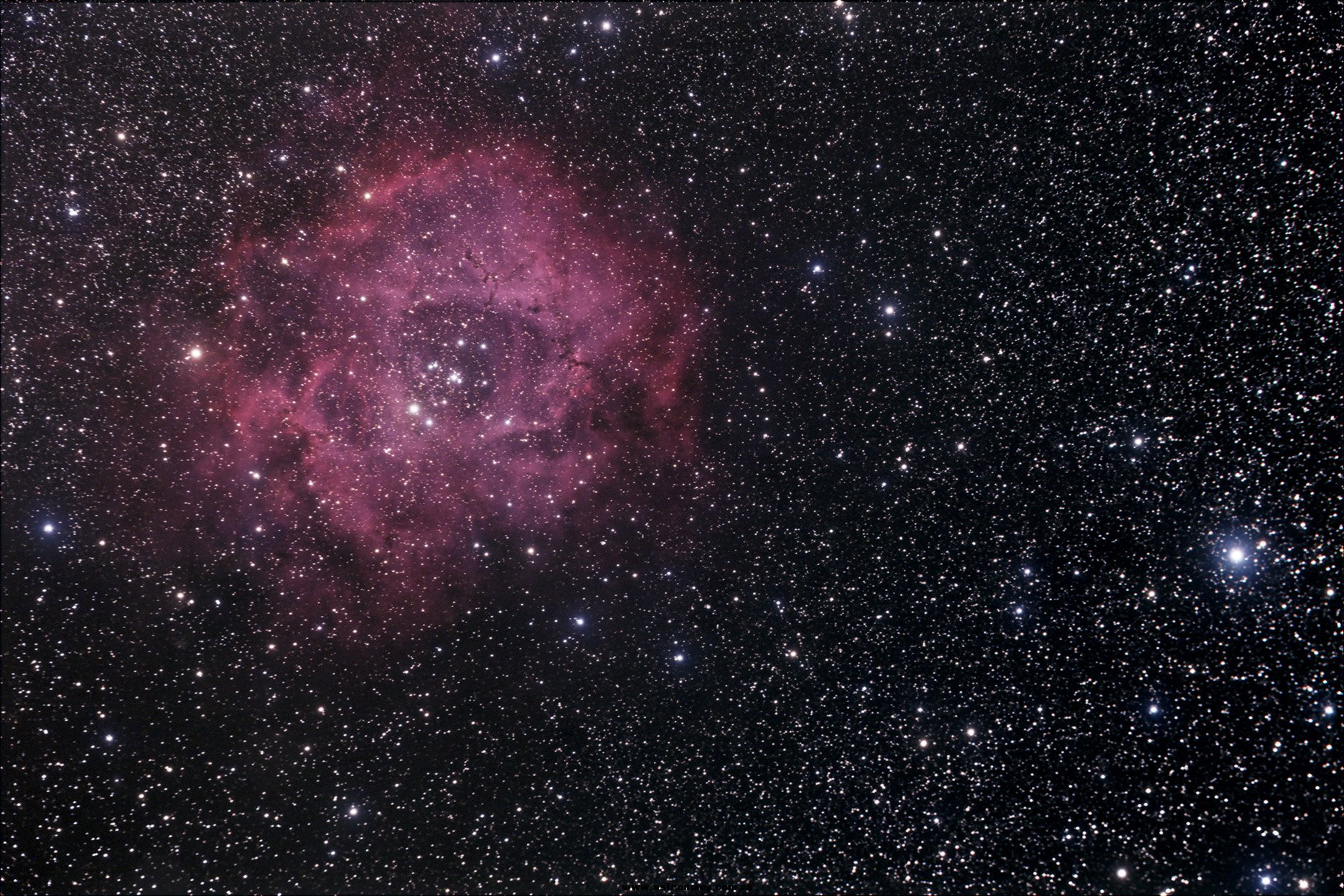 NGC2244 flat.jpg