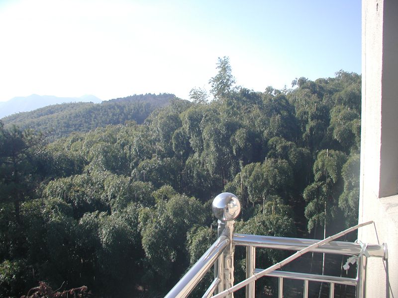 阳台.jpg