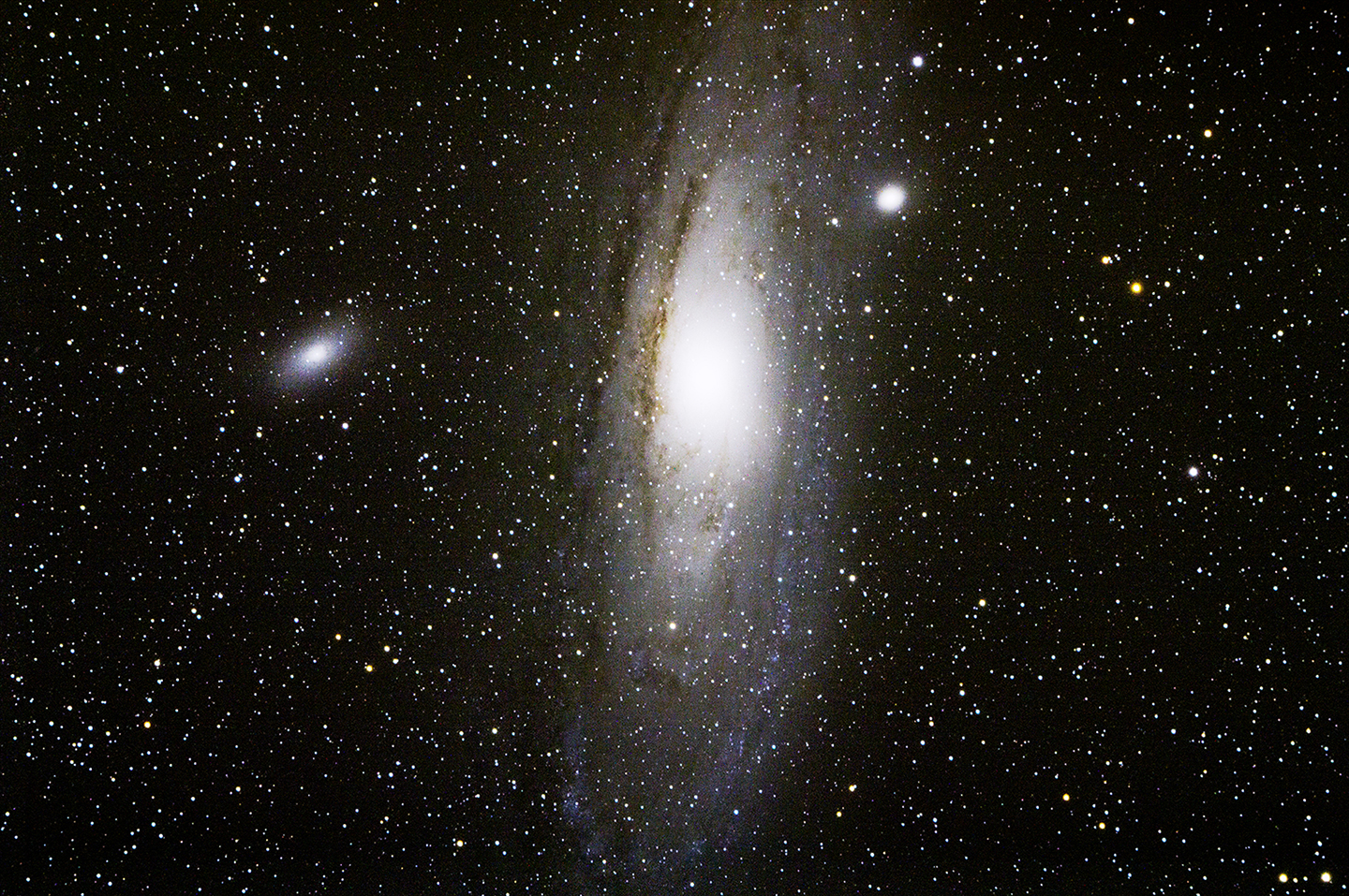 M31