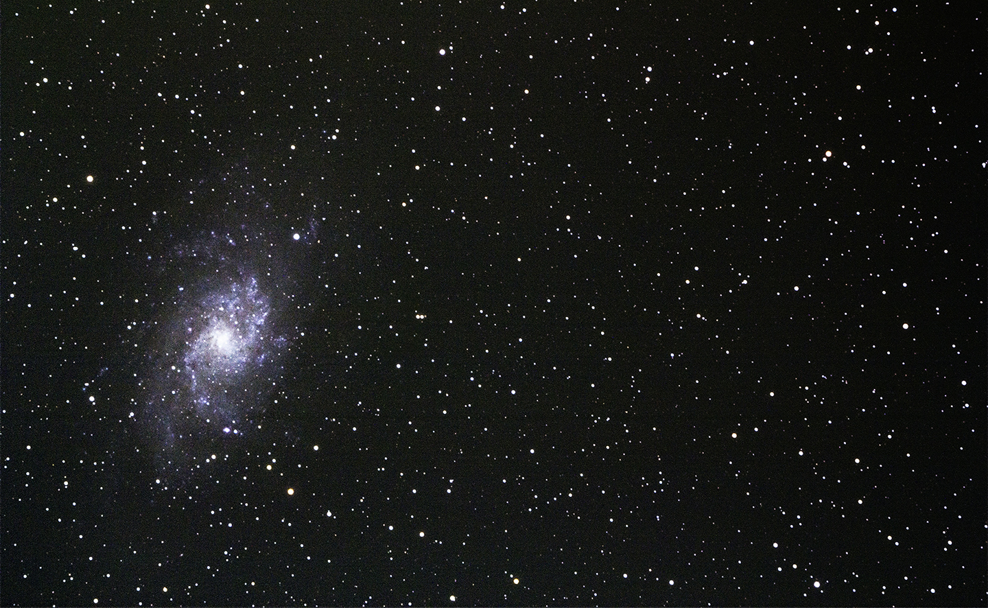 M33