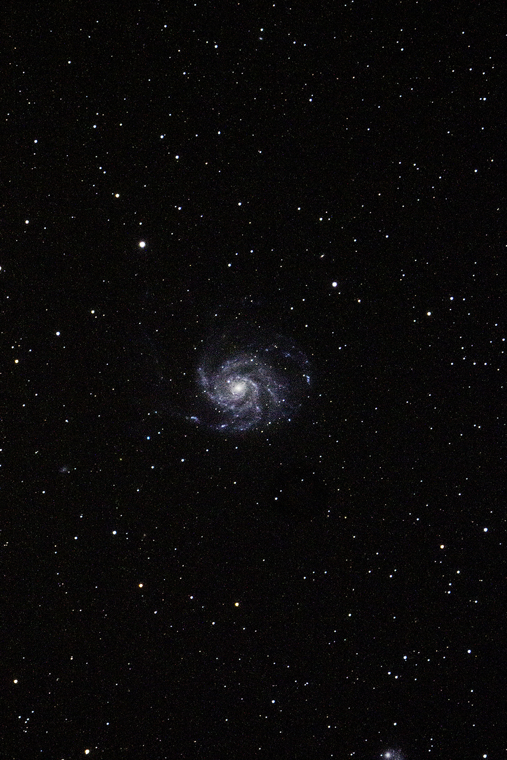 M101
