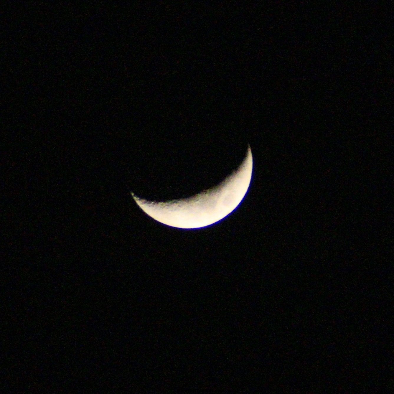 IMG_3604.JPG
