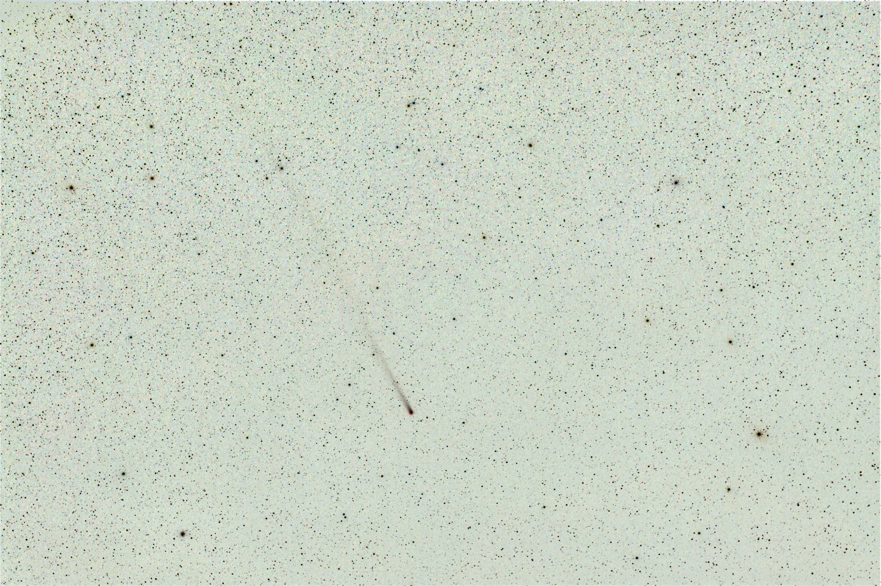 20131209_Lovejoy_fan.jpg