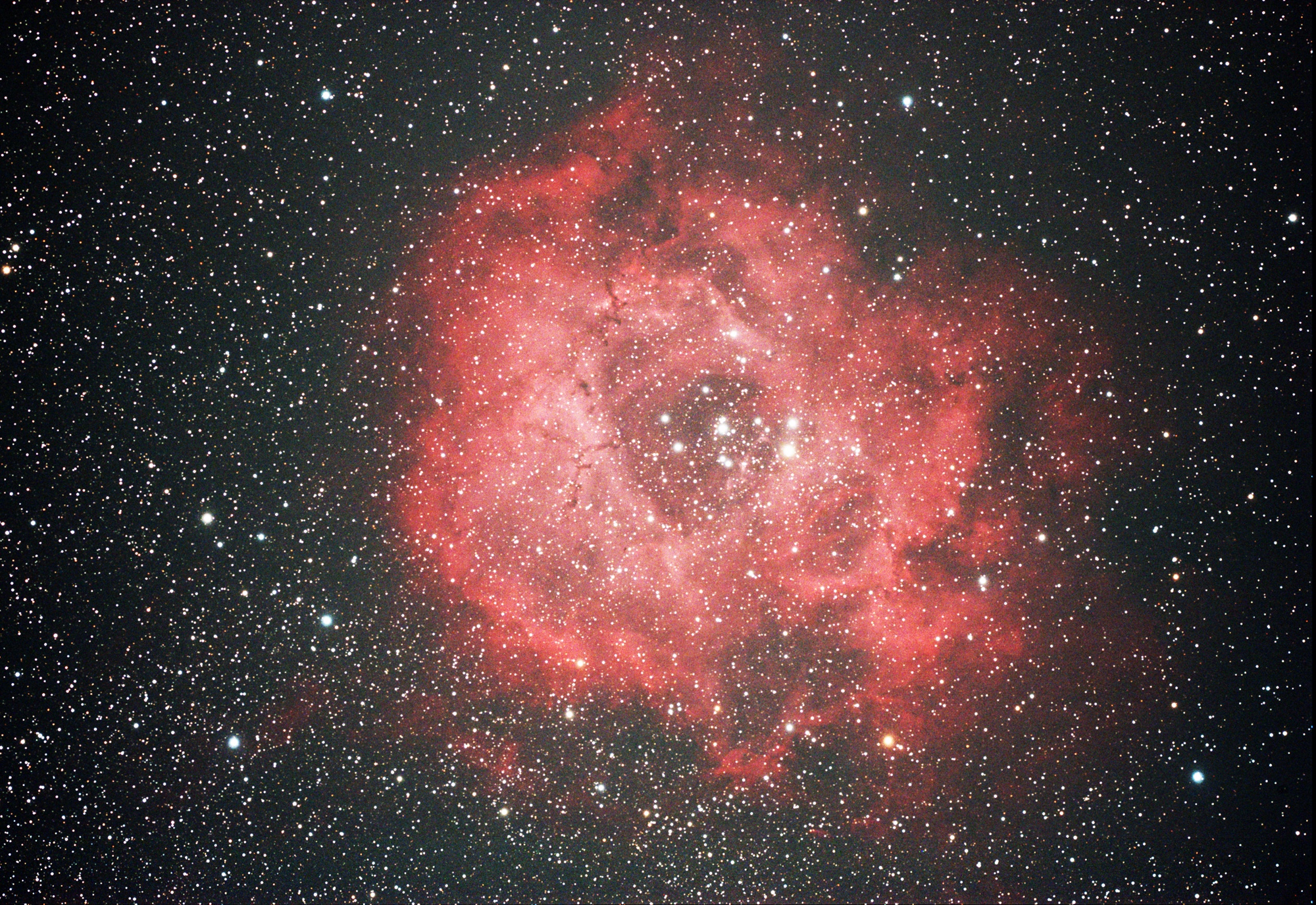NGC2244 1h.jpg