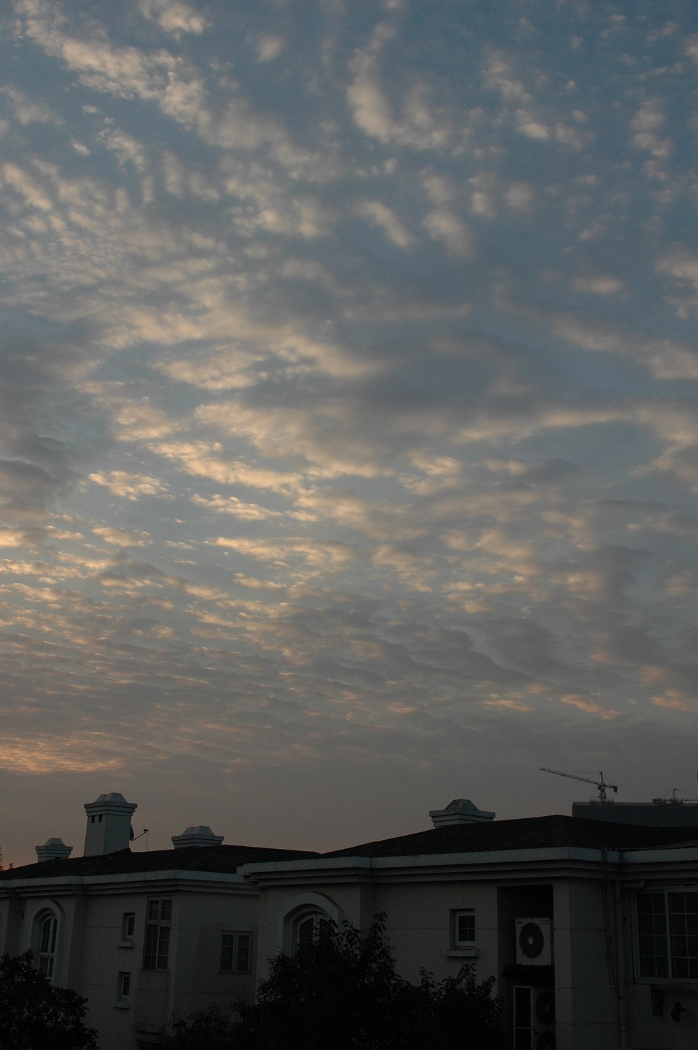DSC_4909.JPG