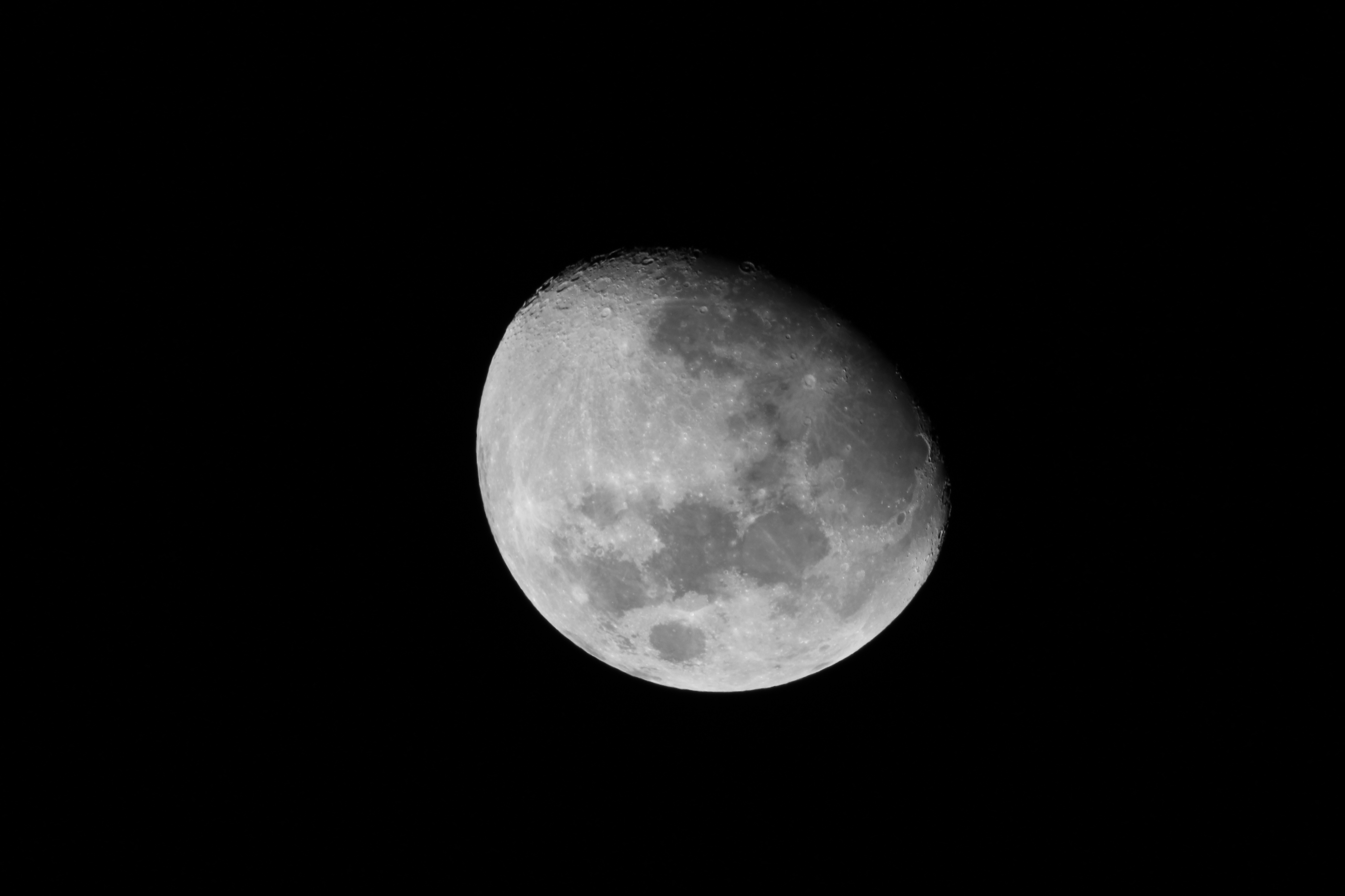 IMG_0394.JPG