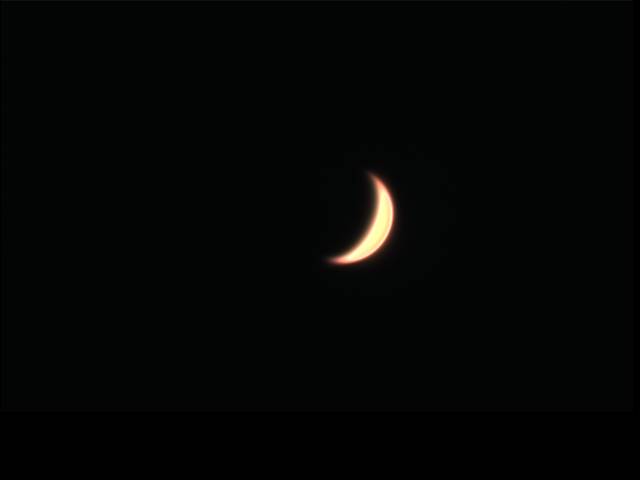 venus.jpg