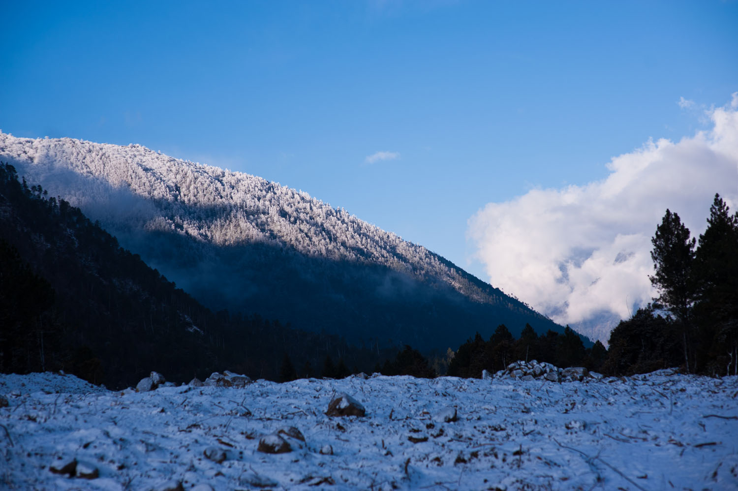 D700 nikkor 85 1.4 林芝雪景1.jpg