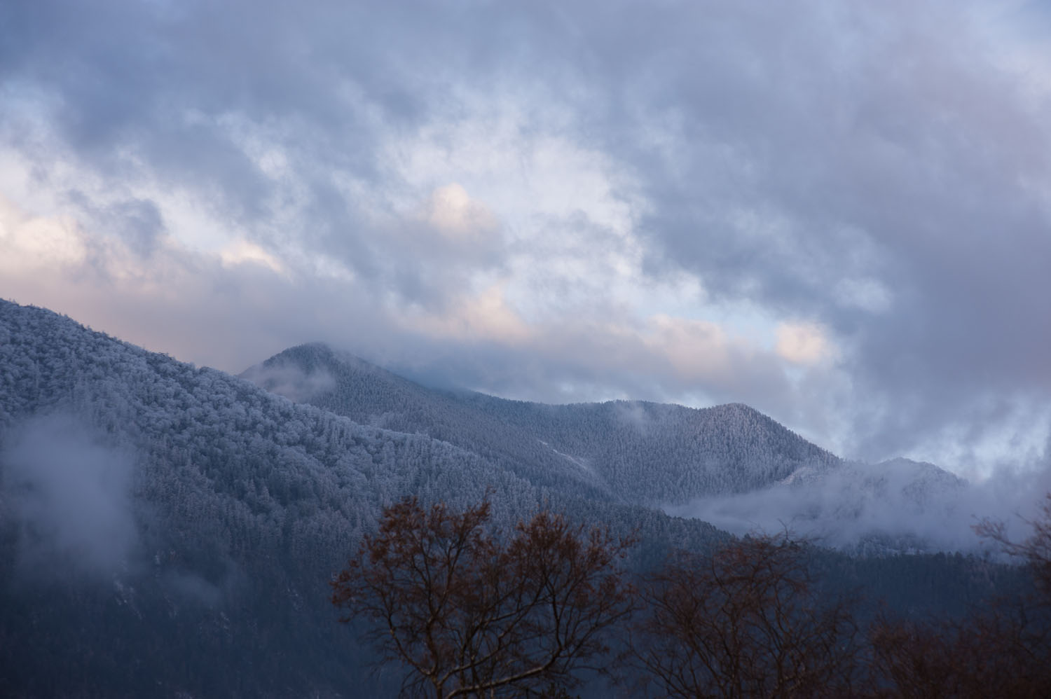 D700 nikkor 85 1.4 林芝雪景5.jpg