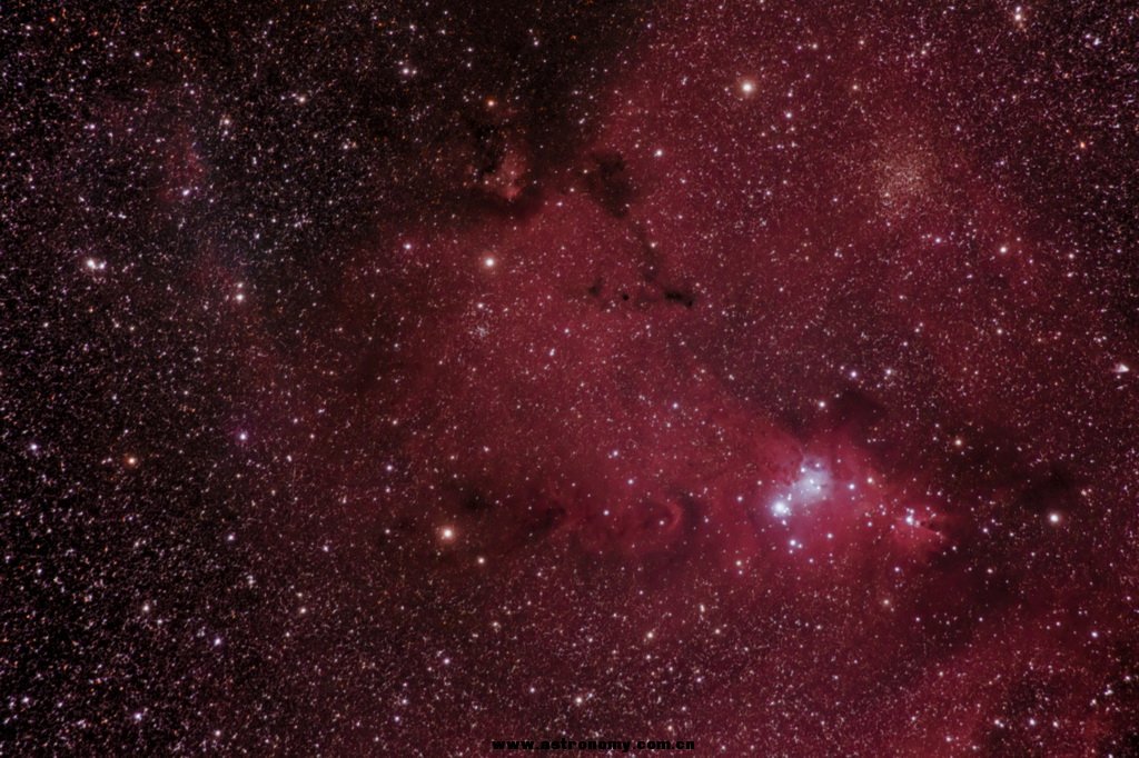 ngc2264p.jpg