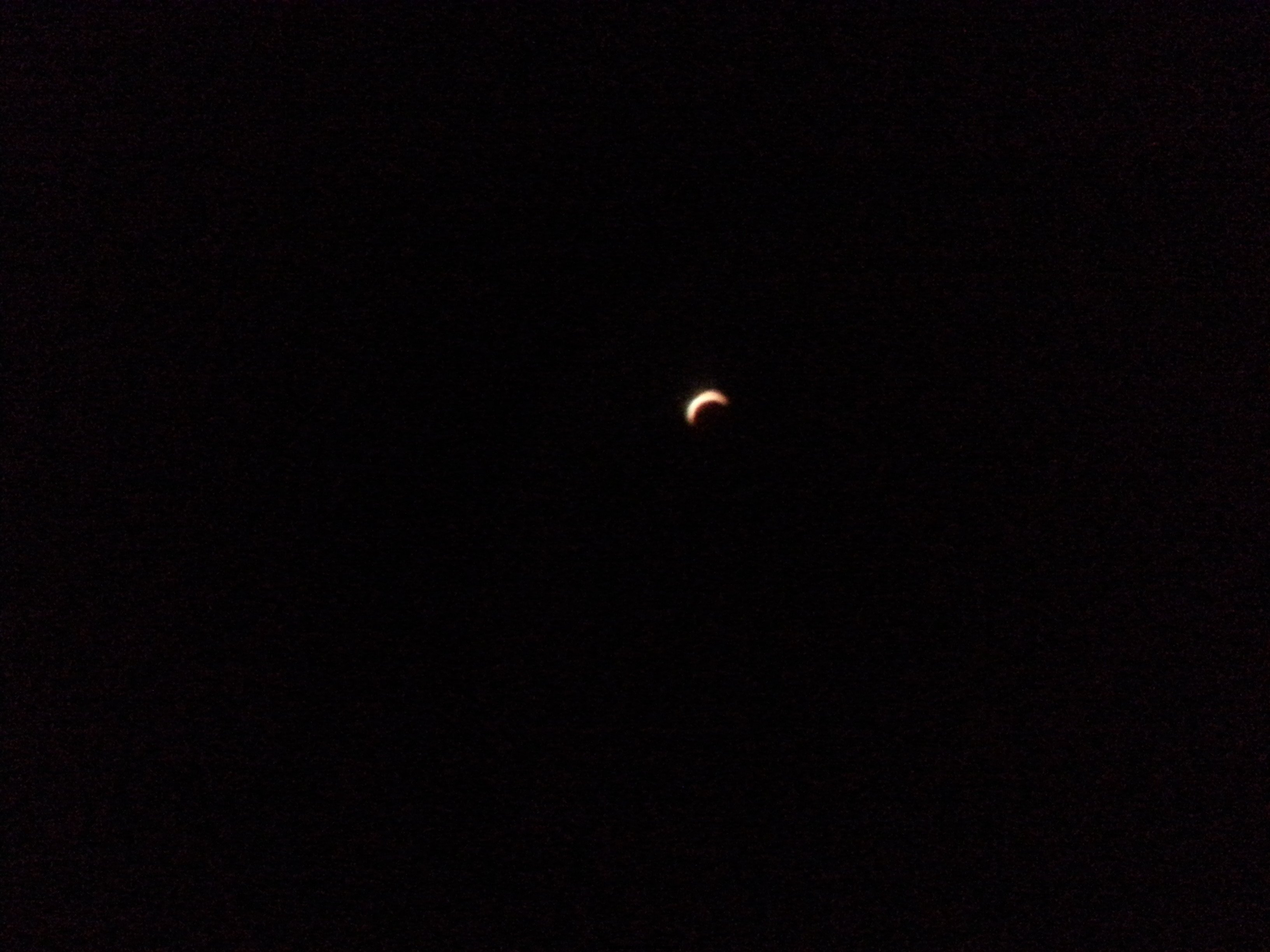 20131220_174210_3.jpg
