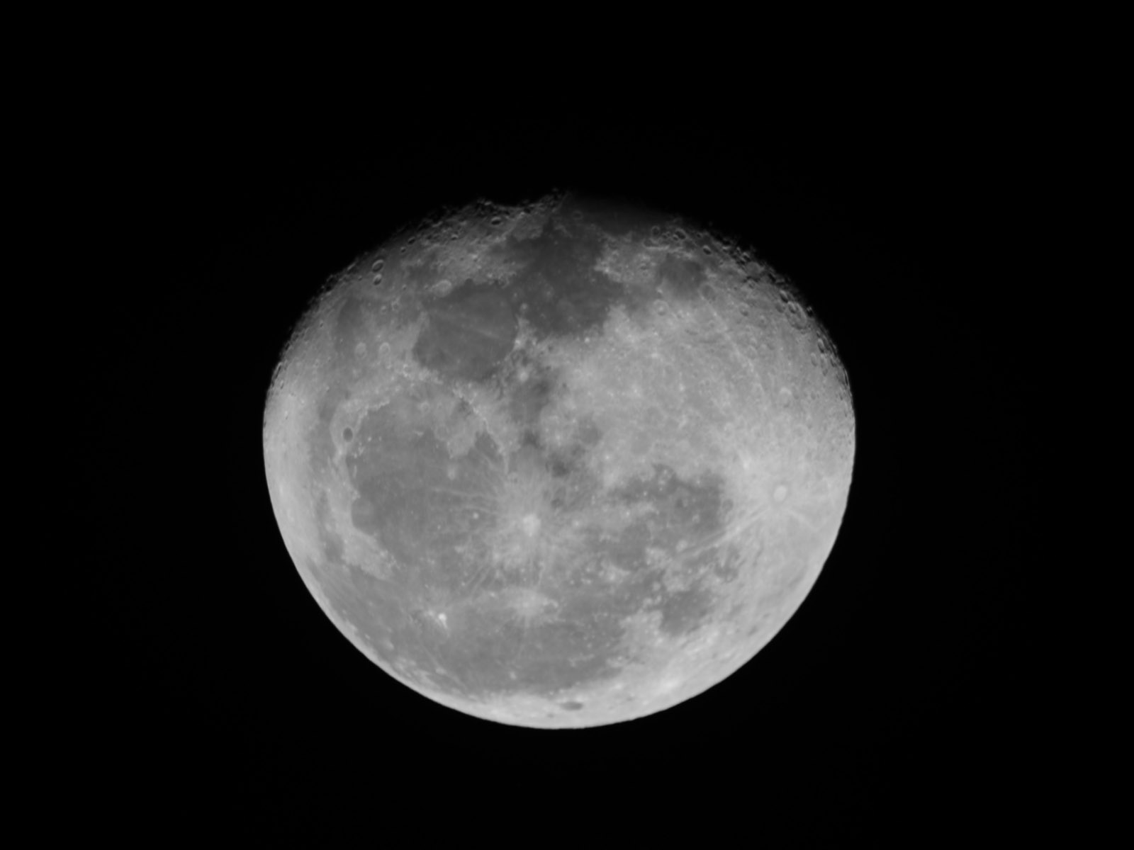 DSC_0452.JPG