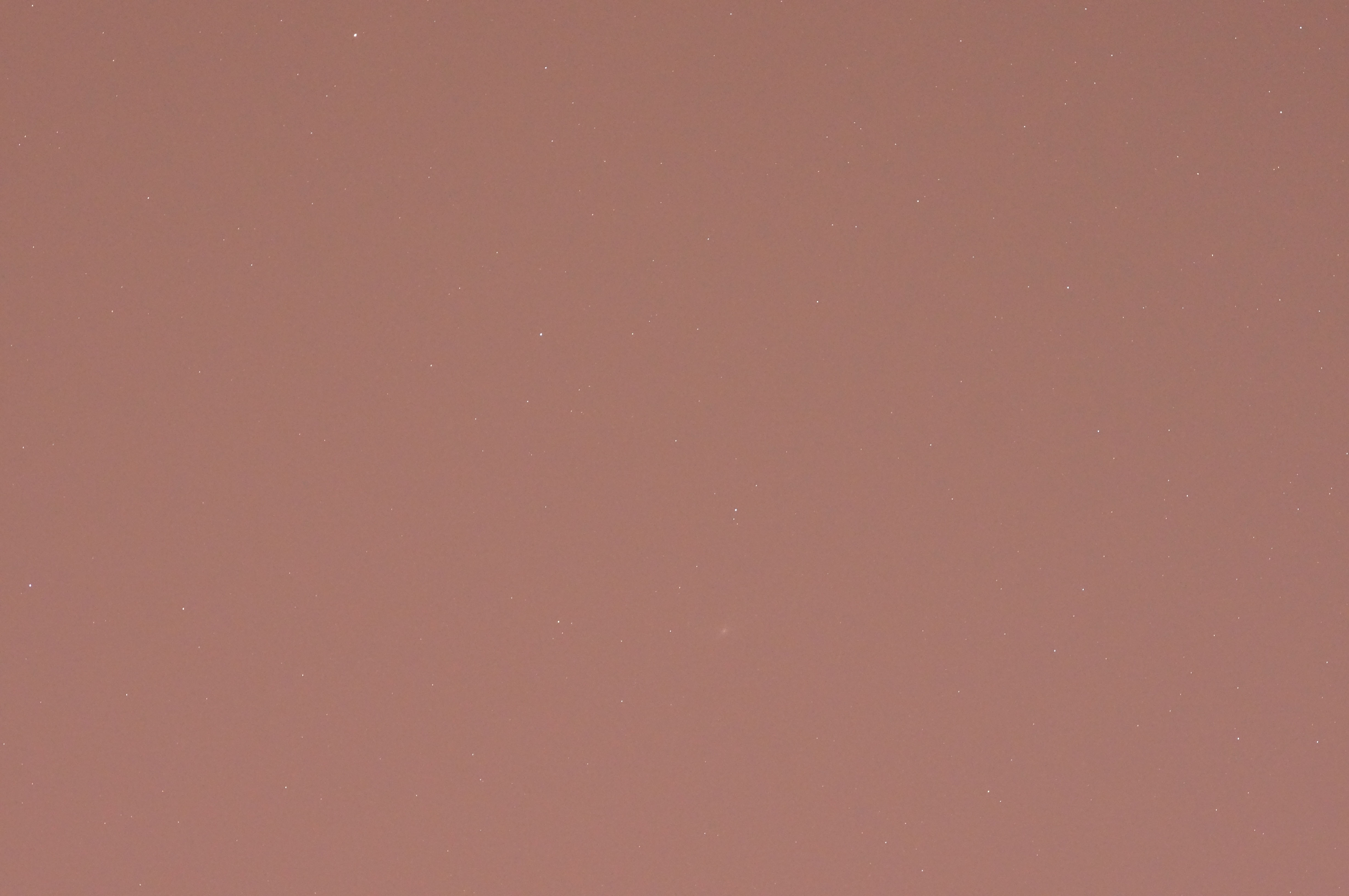 DSC01637.jpg
