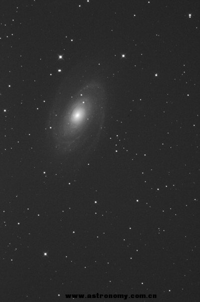 M81