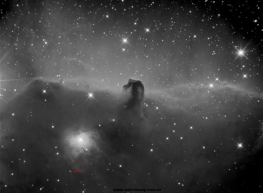 IC434-black-final-shrinkStar.jpg