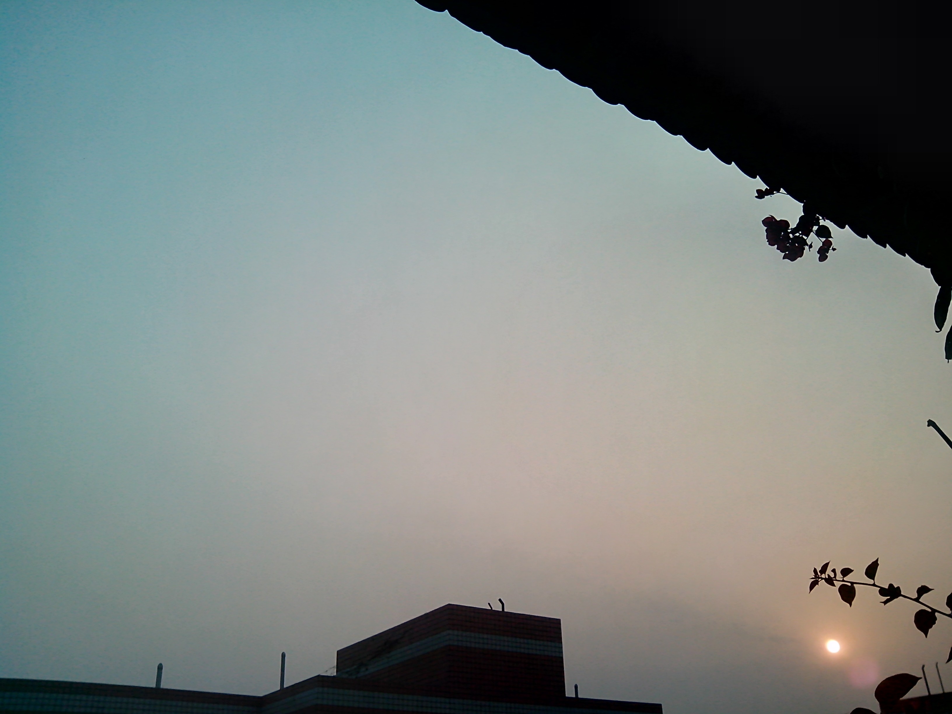 这就是成都的晴天