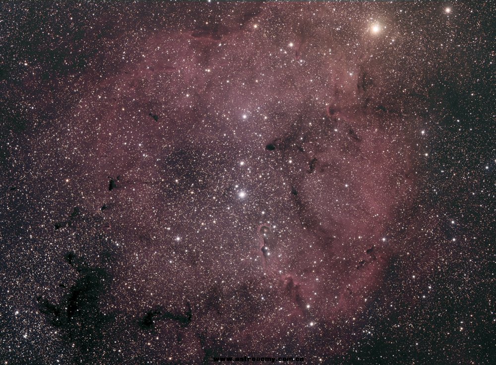 象鼻星云.jpg