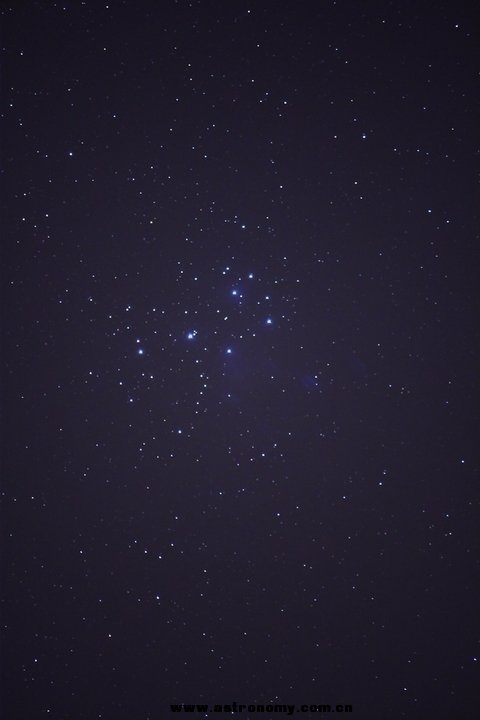 _MG_1442.jpg