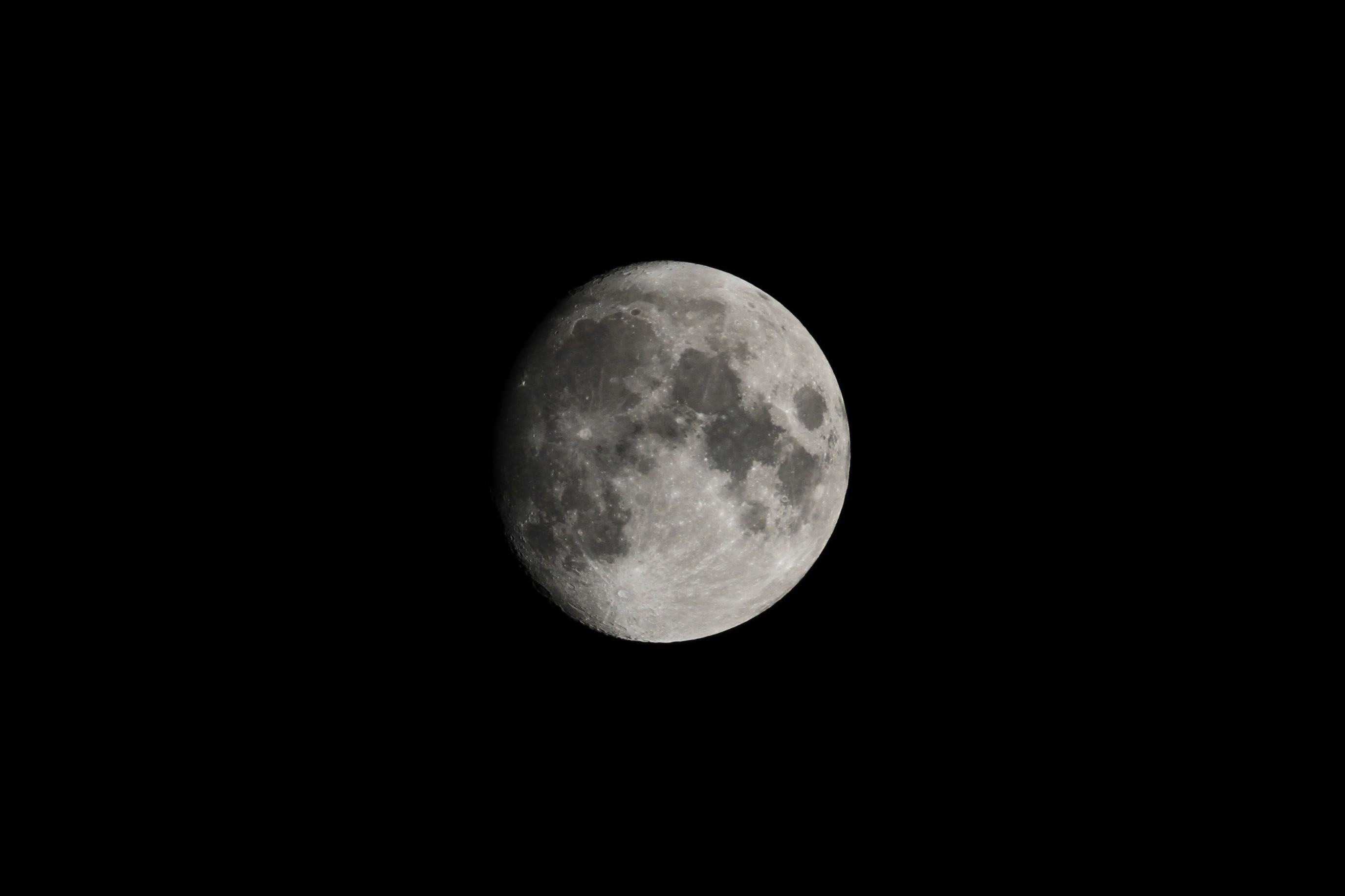 居中截取主体，算放大2倍吧~    ( iso200,1/80,f9 )