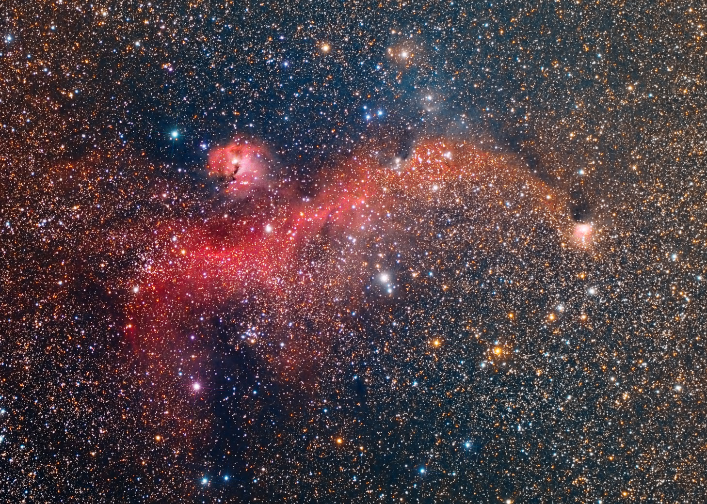 Ic2177_1.jpg
