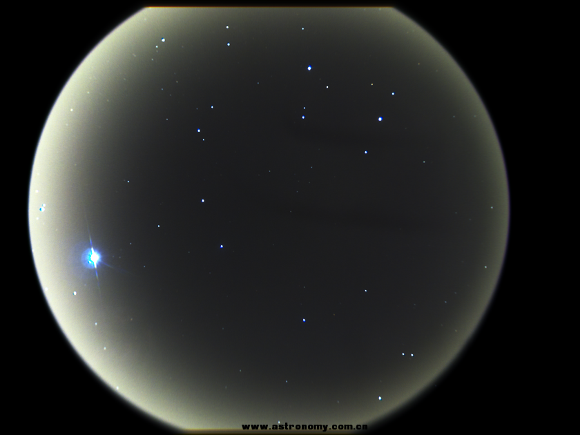 horseheadb.png