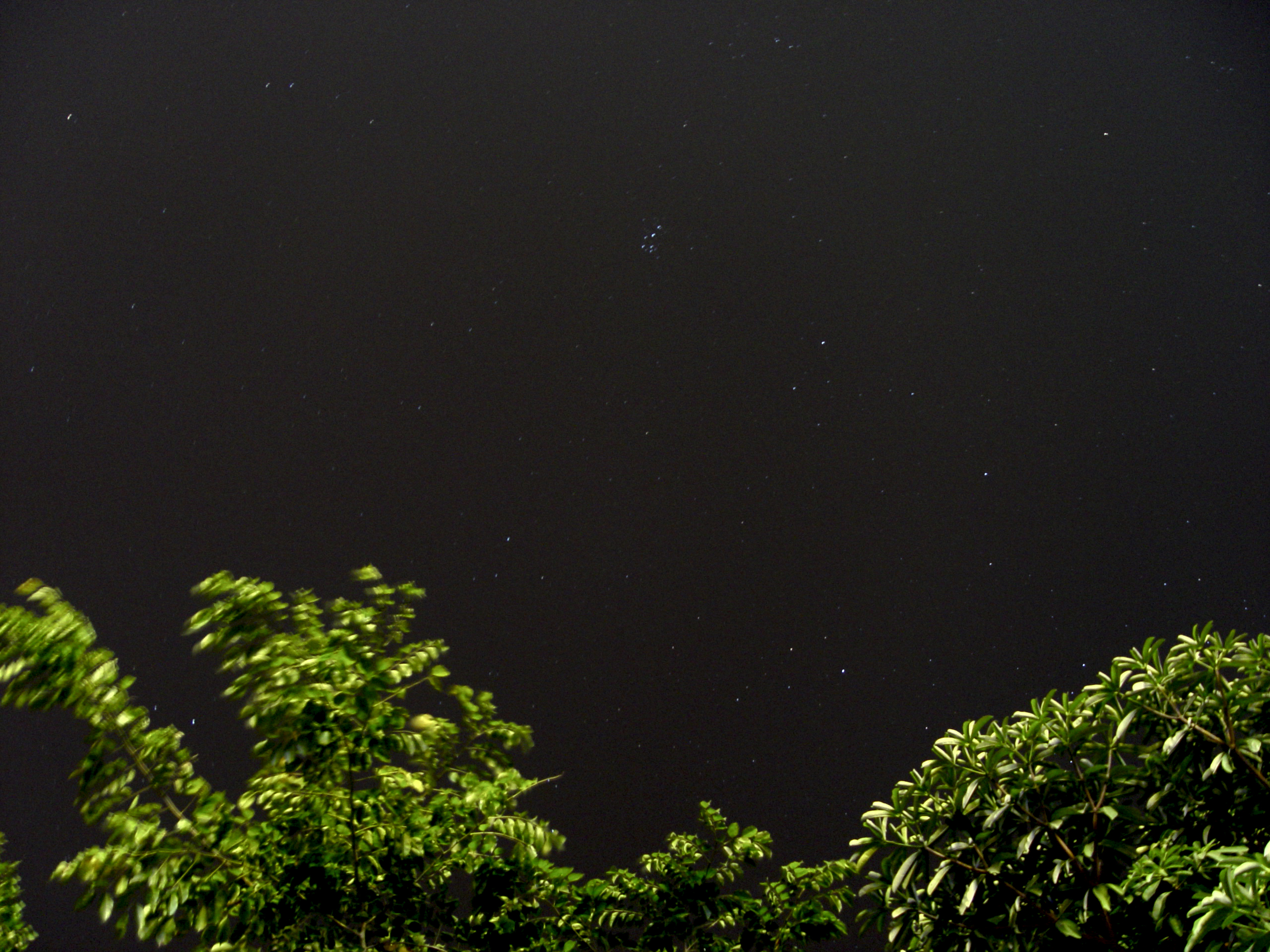 DSC02175.jpg