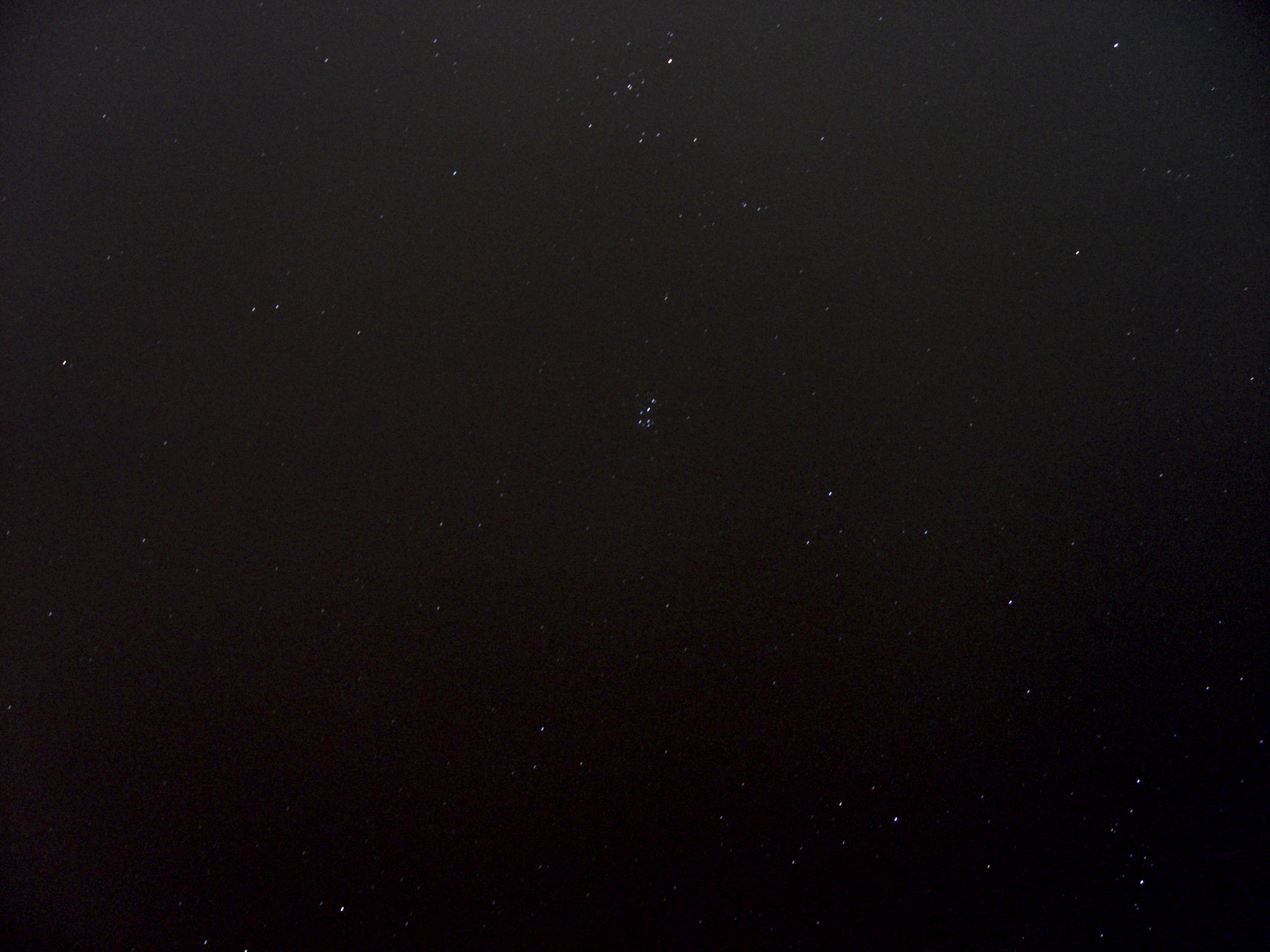 DSC02177.jpg