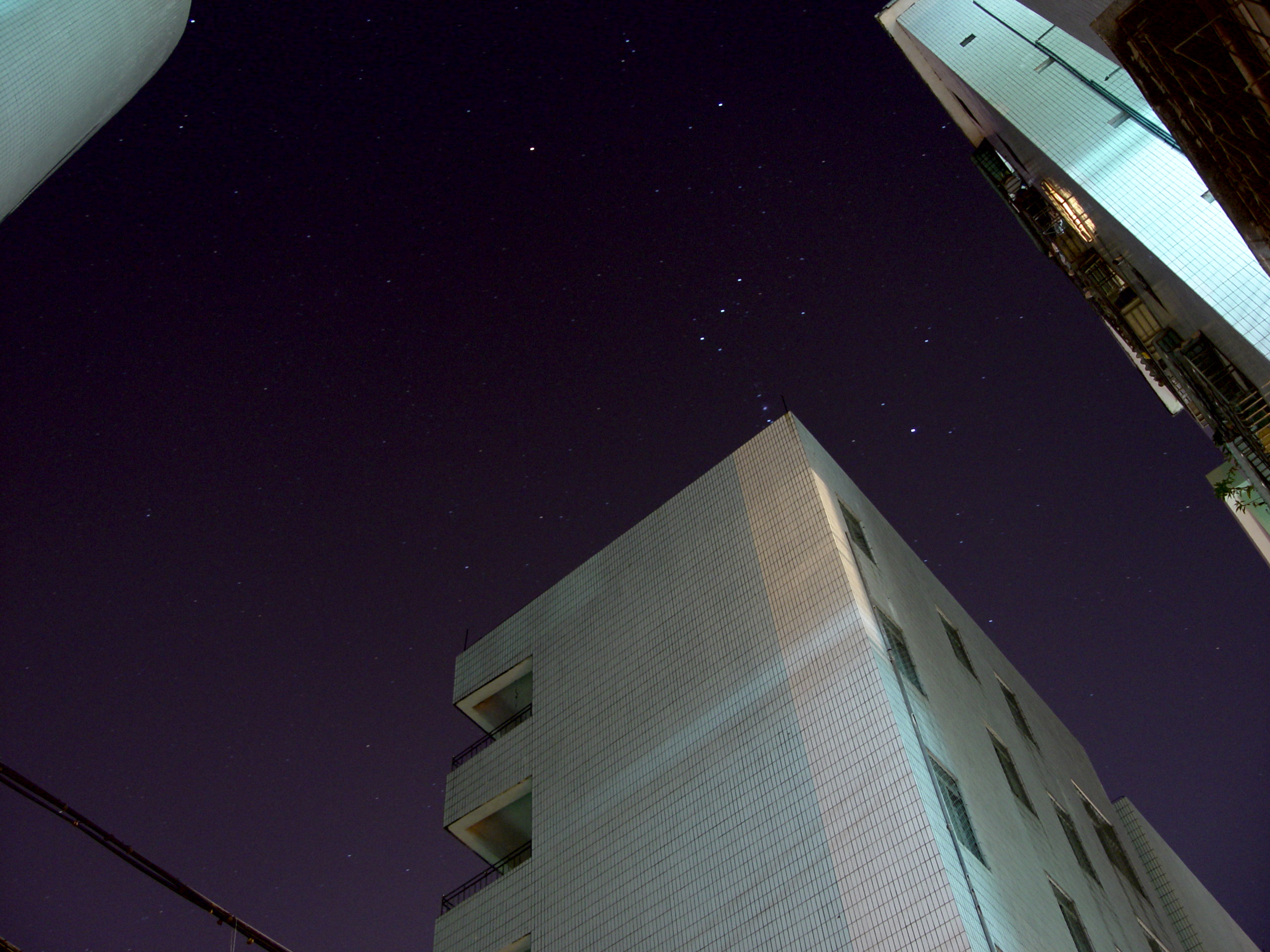 DSC02218.jpg