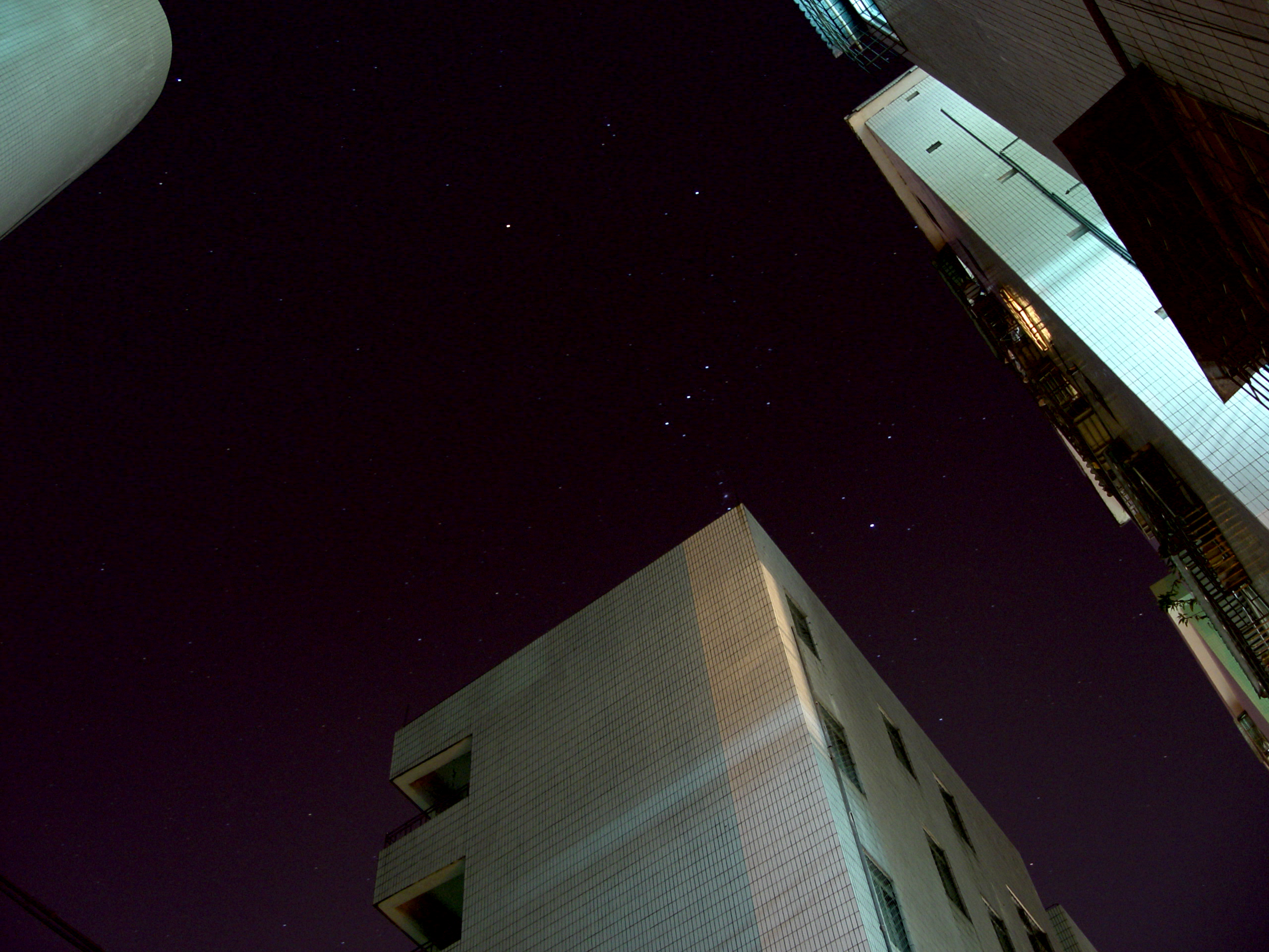 DSC02219.jpg