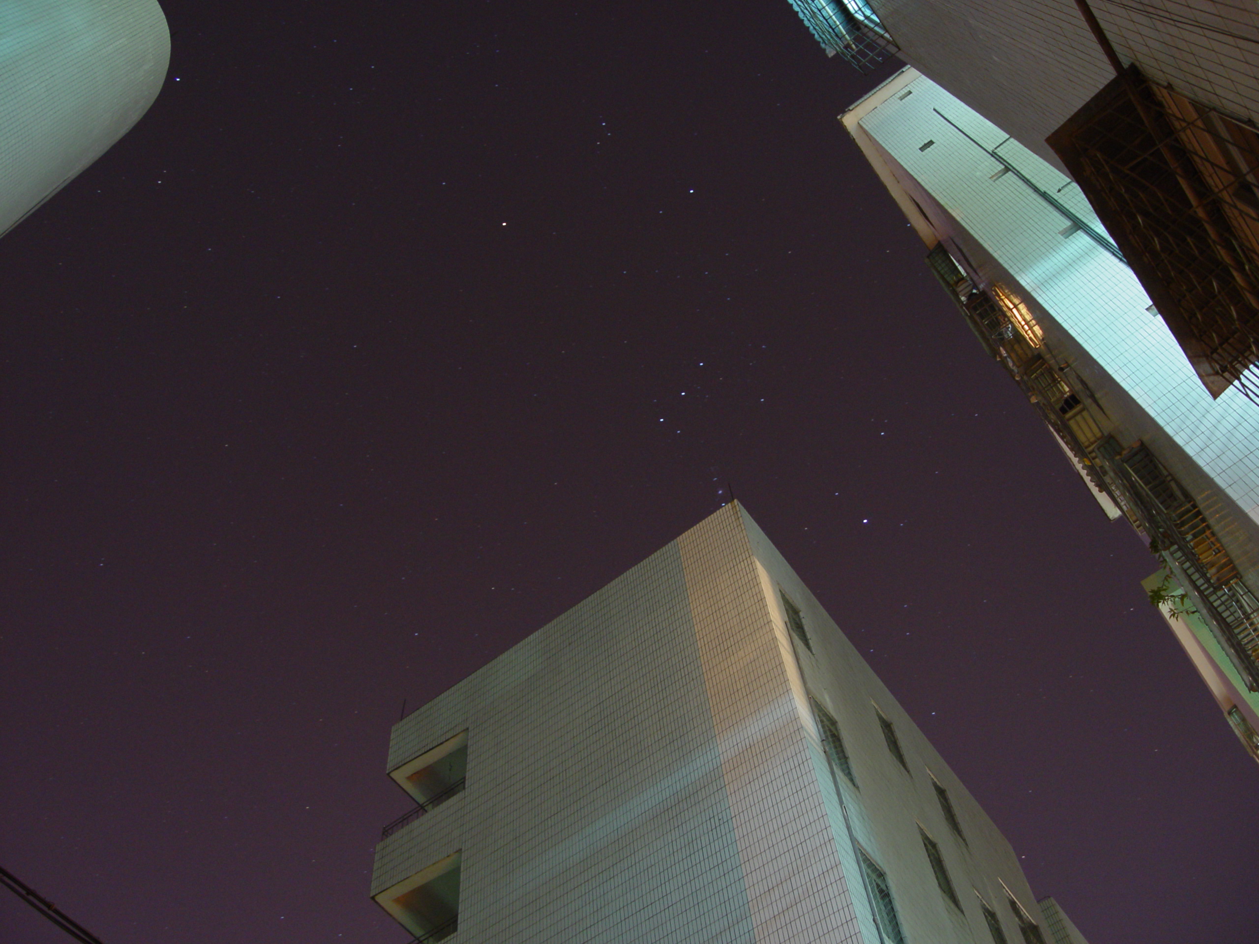 DSC02219.JPG