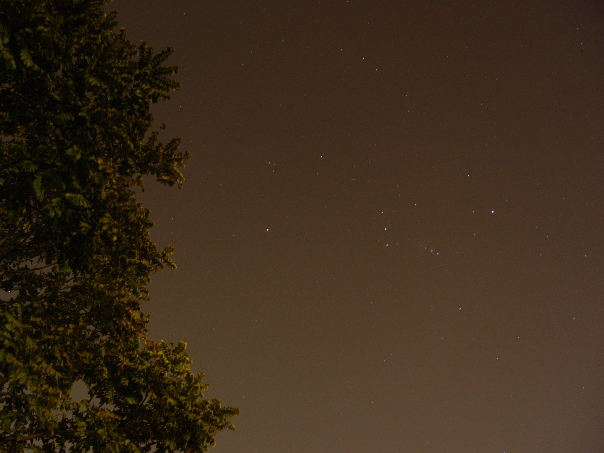 DSC02491.JPG