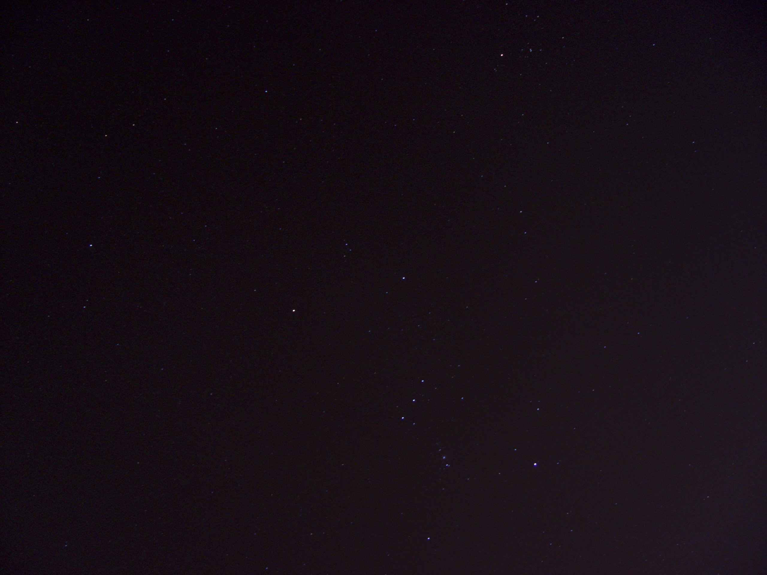 DSC02524.jpg