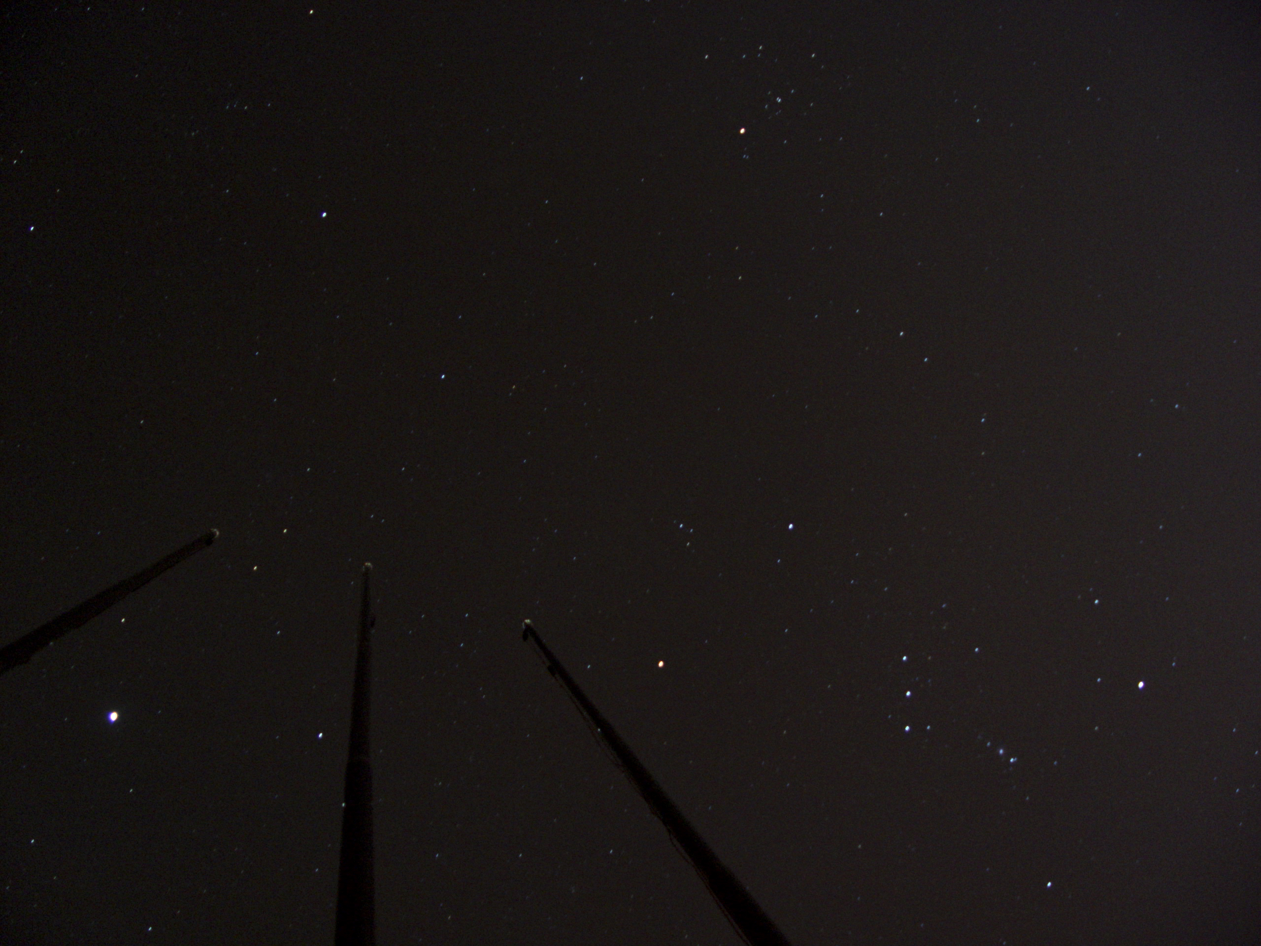 DSC02565.jpg