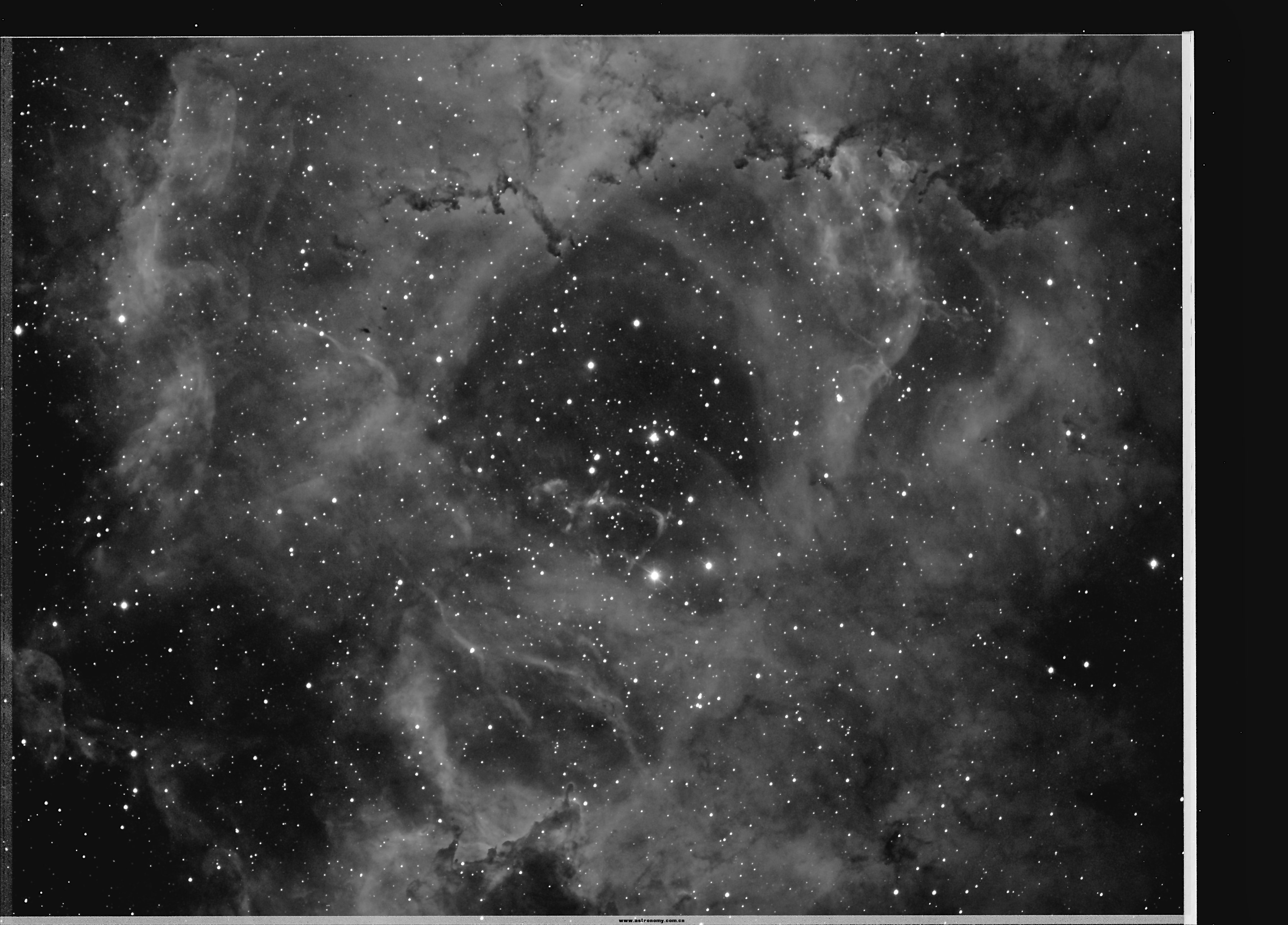 NGC2239.jpg