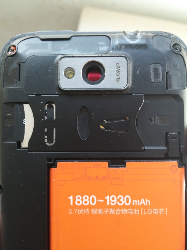CAM00019_1.jpg