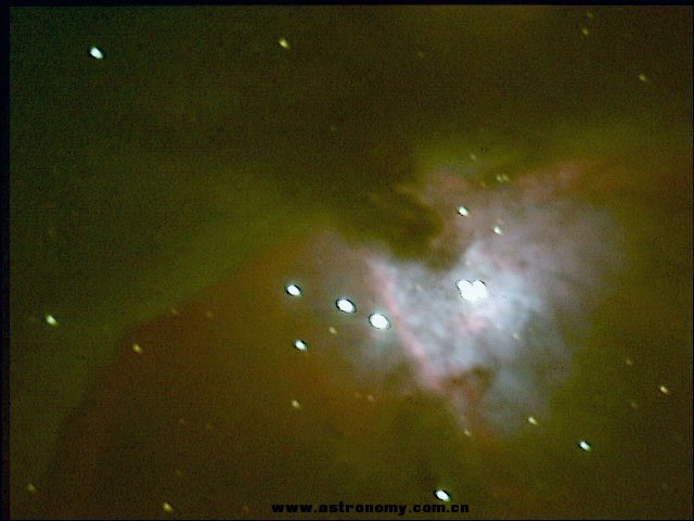 M42 (4).jpg