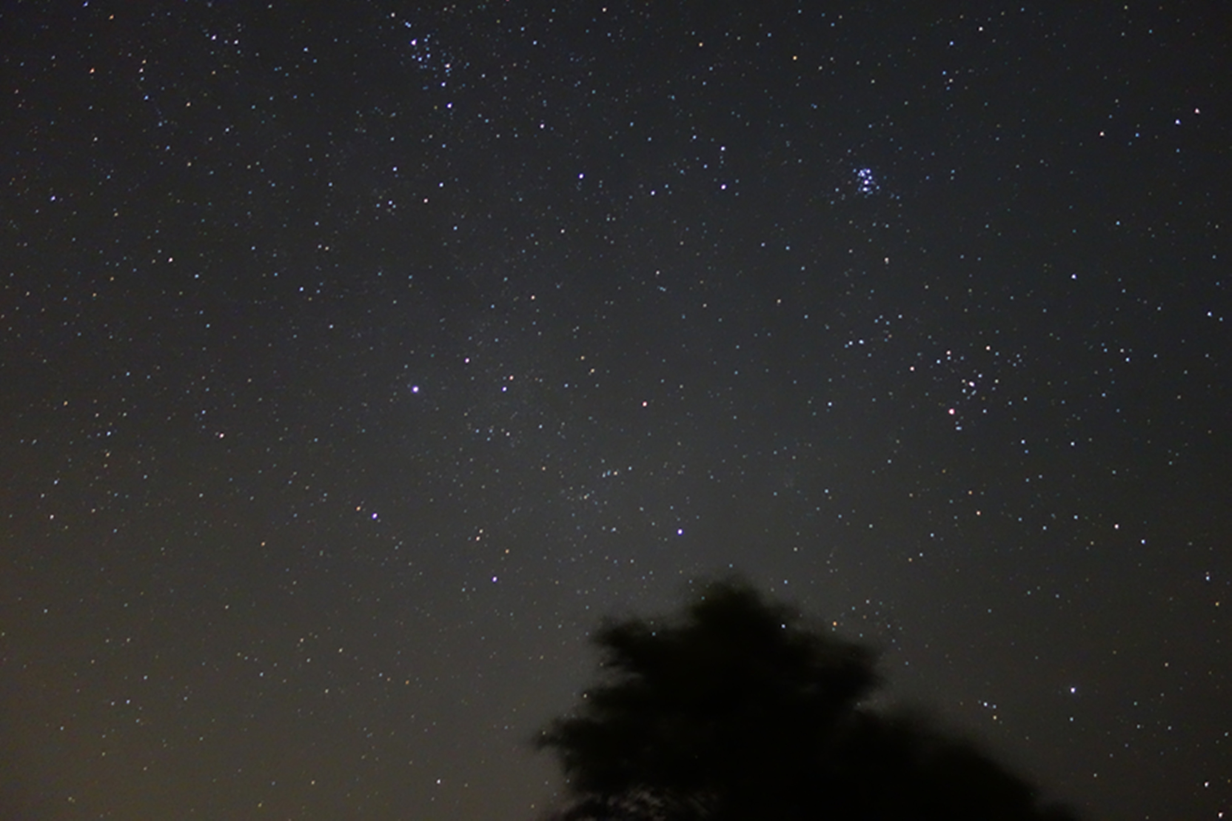 ISO1600