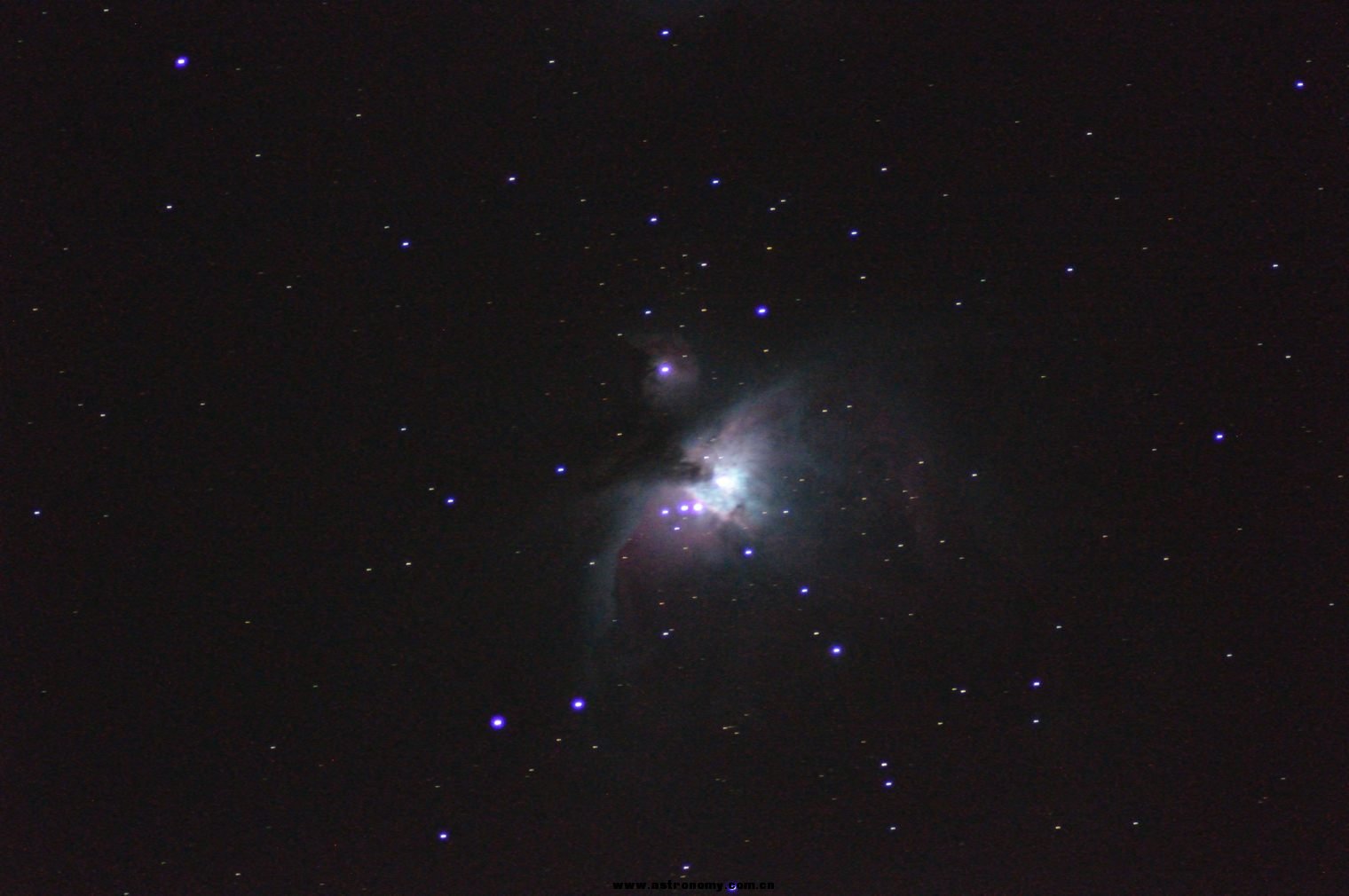 DSC_0310.jpg